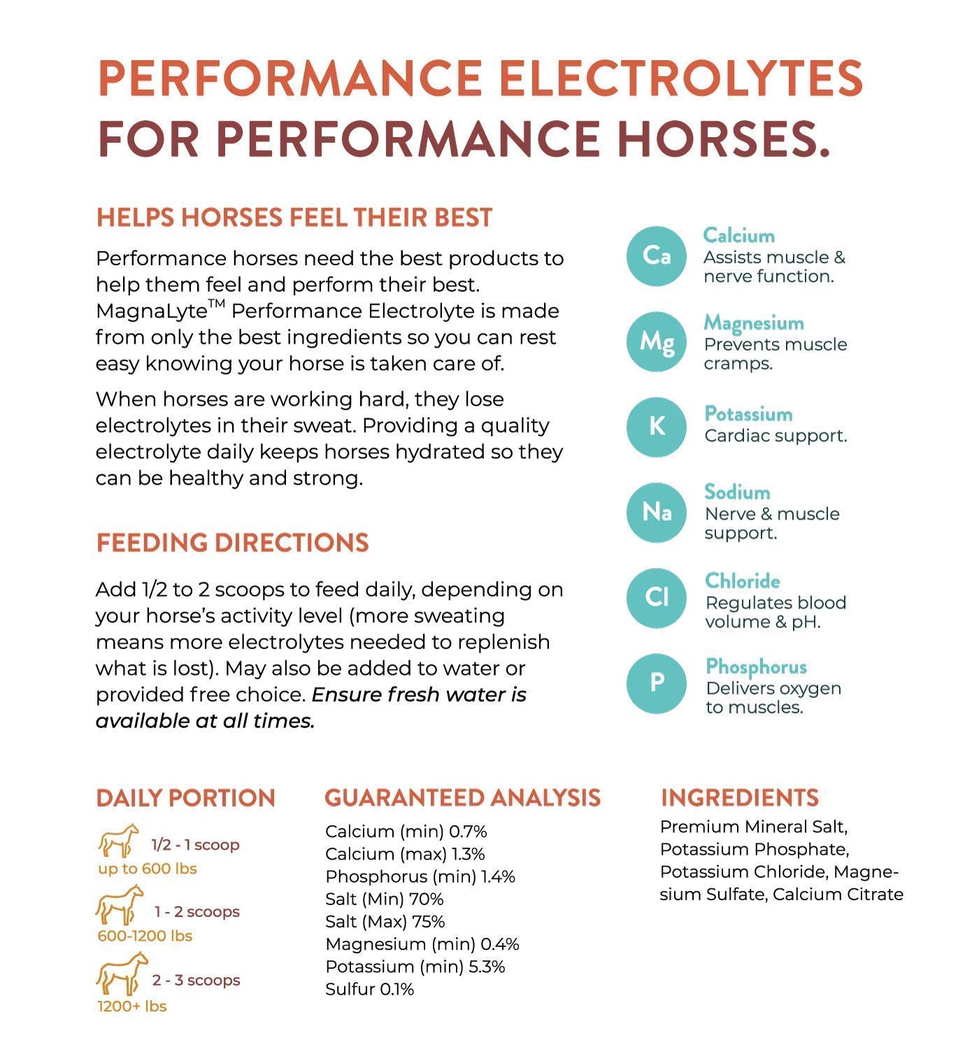 MagnaLyte Sal Suelta y Electrolitos para Caballos de Eagle Equine | Sal Marina Mineral, Oligoelementos, Electrolitos | Bolsa de 4 lb