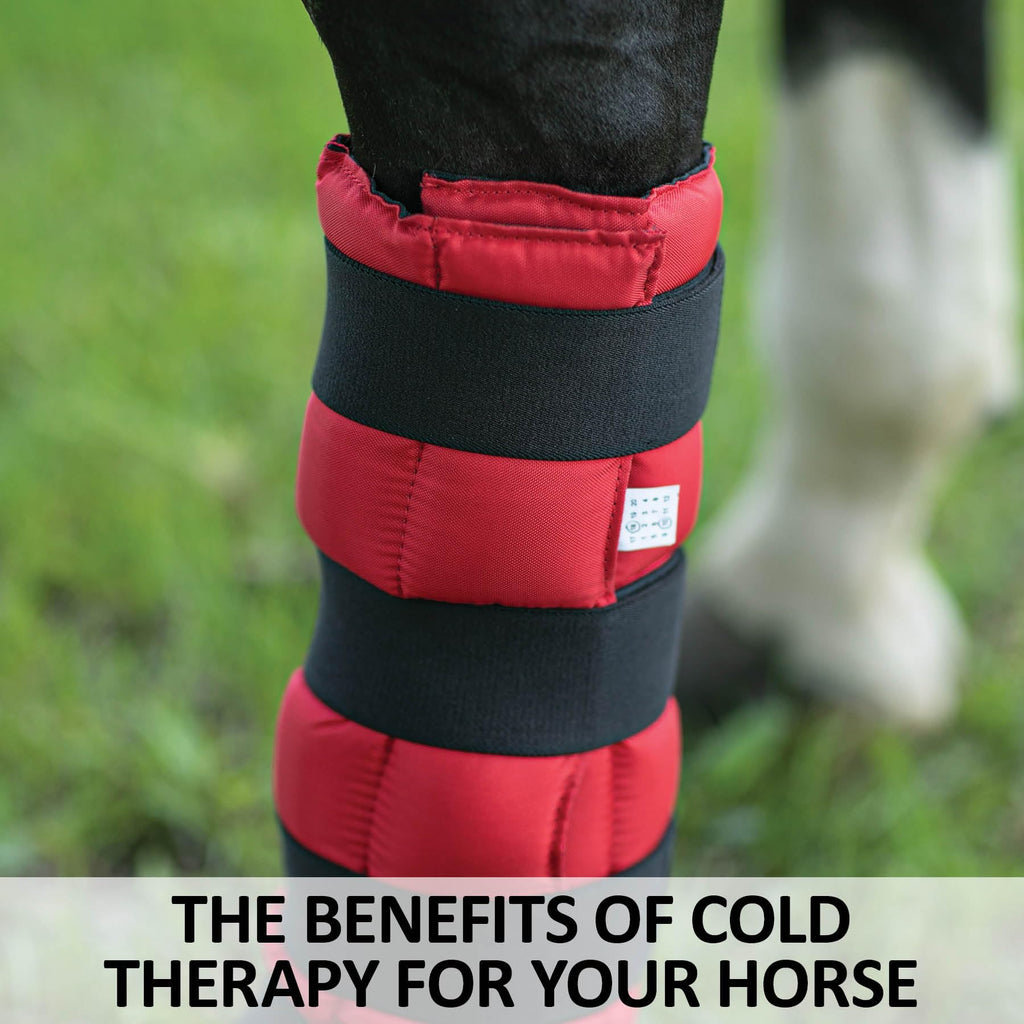 Venda de gel refrigerante Dura-Tech para caballos | Terapia de frío instantánea | Apta para ponis, caballos y caballos de tiro | Exterior duradero de 420 deniers | Ajuste flexible y cómodo | Tamaño 40,6 cm x 50,8 cm