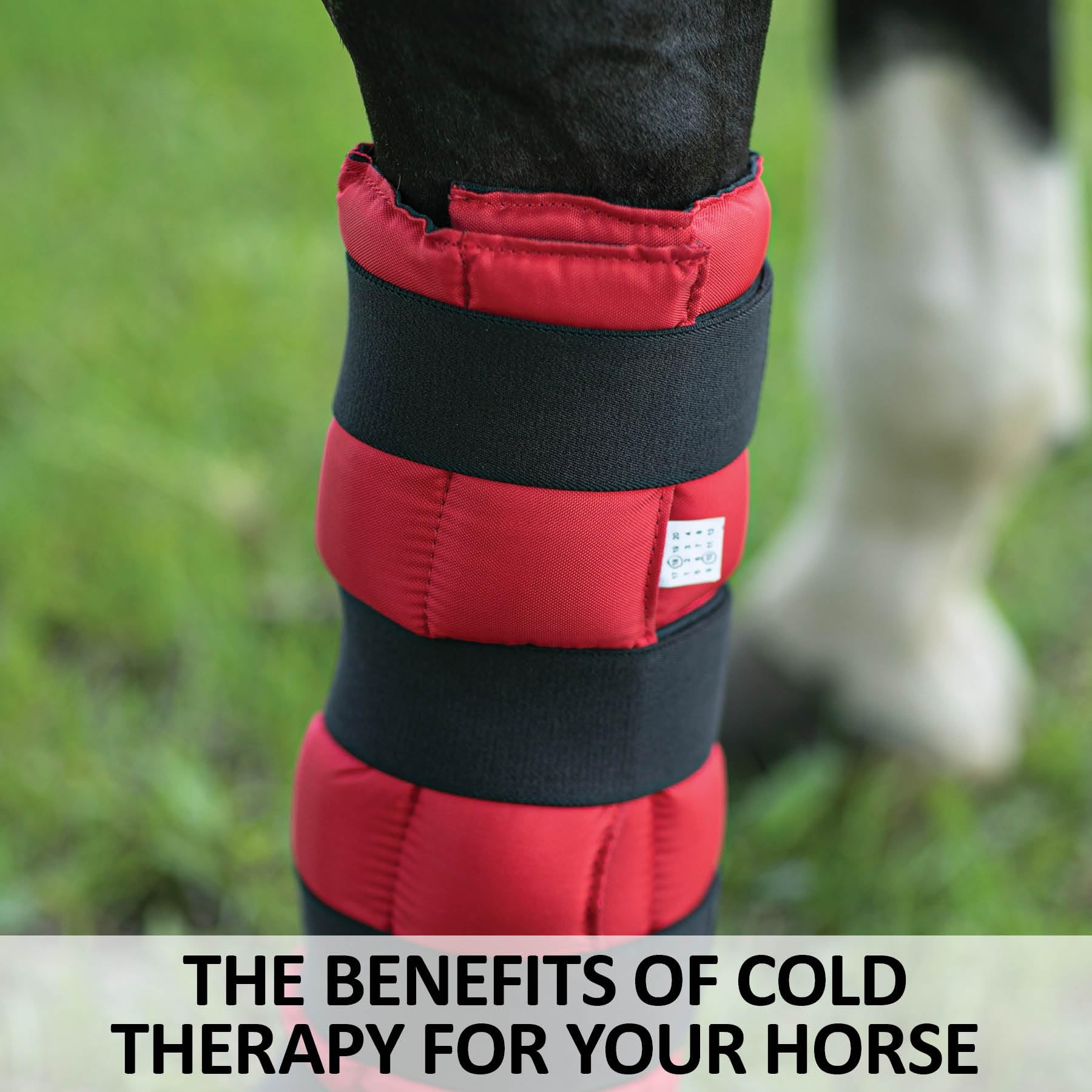 Dura-Tech Cooling Gel Wrap for Horses | Instant Cold Therapy | Fits Ponies, Horses, and Drafts | Durable 420-Denier Outer | Flexible and Comfortable Fit | Size 16" x20"