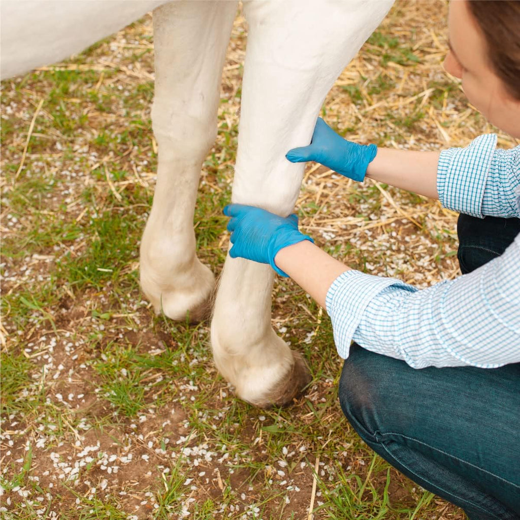 Gel Linimento Veterinario para Caballos | Bálsamo para Músculos Adoloridos | Calor Suavizante, Hecho con Ingredientes a Base de Plantas | Fórmula Nueva y Mejorada