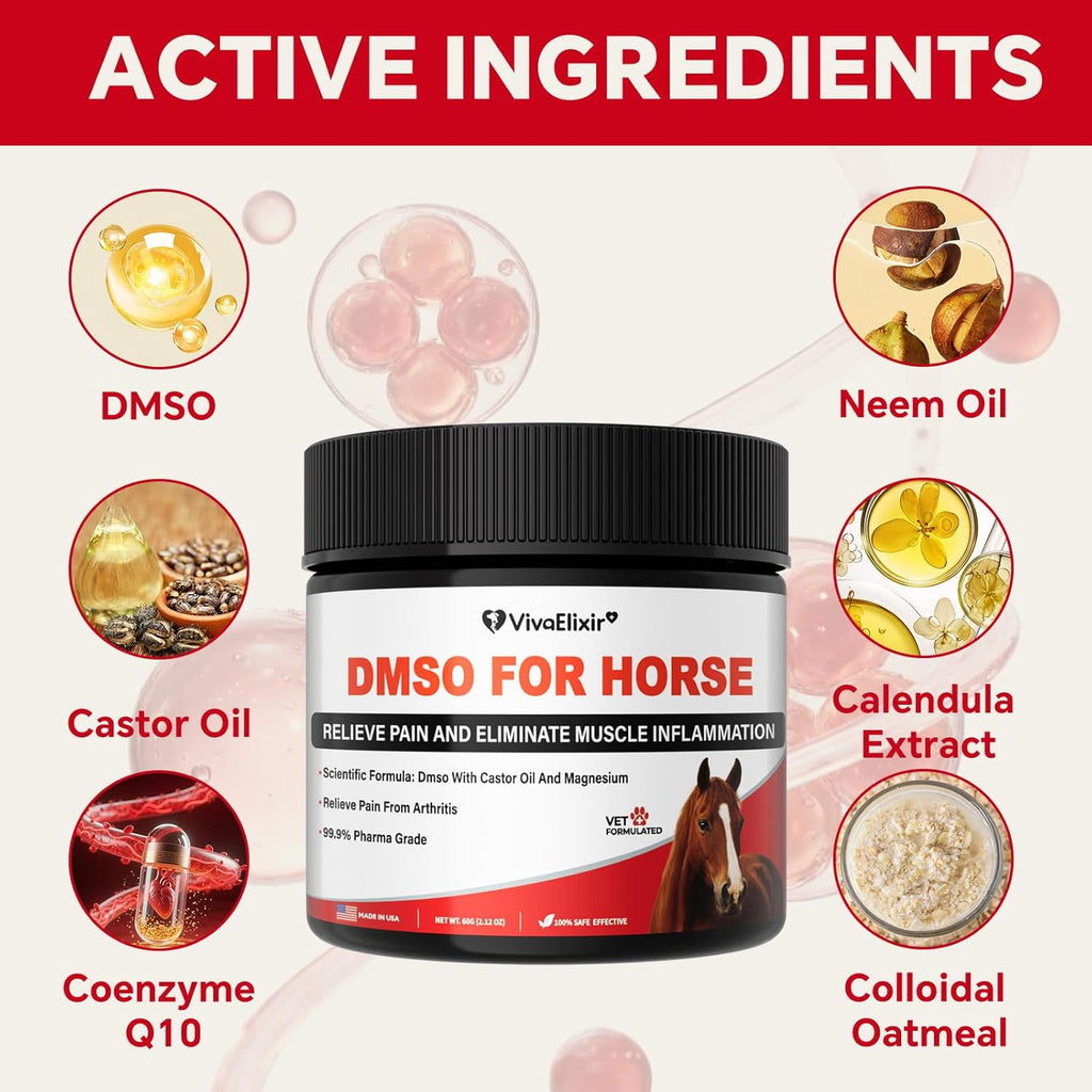 Gel Linimento DMSO para Caballos | Gel Linimento Veterinario | DMSO de Grado Médico | Crema para Caballos con Magnesio y Aceite de Ricino para el Dolor Articular y Muscular | Alivio del Dolor en Caballos | Gel para el Dolor Muscular - 60g