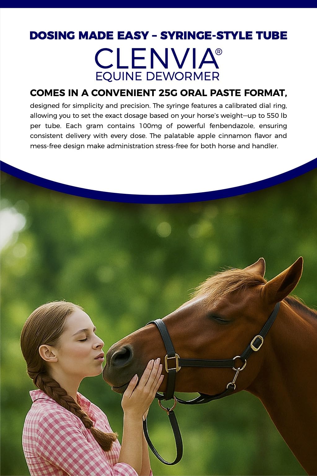 Horse Paste 10% – 25g Syringes – Oral Deworming Paste for Horses of All Ages – Easy-to-Administer Equine Care (Pack of 6)