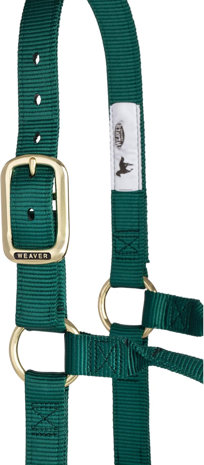 Weaver Leather Original Non-Adjustable Nylon Horse Halter