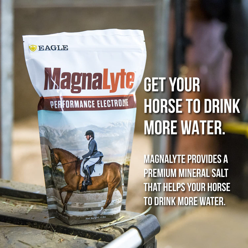 MagnaLyte Sal Suelta y Electrolitos para Caballos de Eagle Equine | Sal Marina Mineral, Oligoelementos, Electrolitos | Bolsa de 4 lb