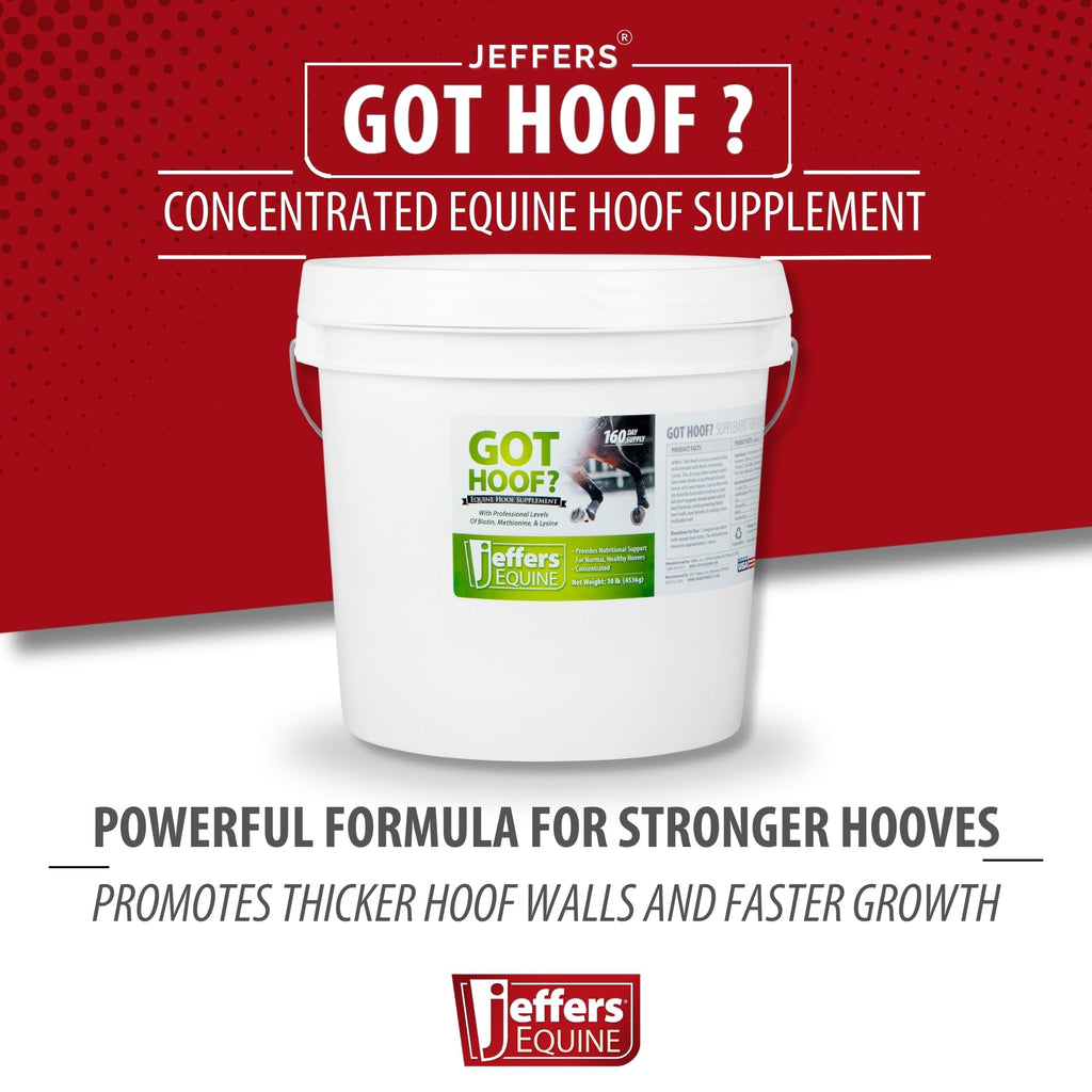 Jeffers Equine ¿Tienes Cascos? Suplemento Concentrado en Polvo para Cascos de Caballos, 4.5 kg - Biotina, Metionina, Zinc y Aminoácidos para un Crecimiento Seguro, Fuerza y Cascos Secos - Incluye Cuchara de 28 g