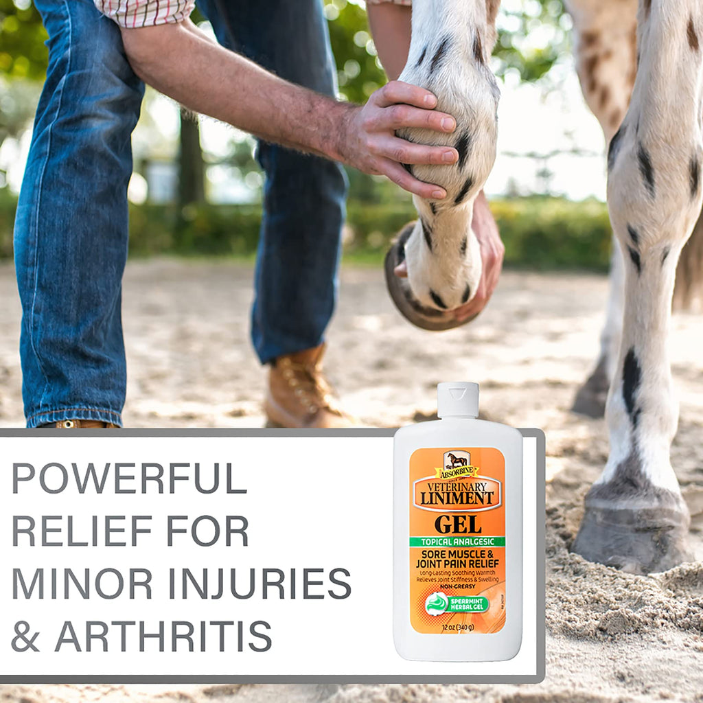 Absorbine Linimento Veterinario Analgésico Tópico Alivio del Dolor Muscular y Artrítico Linimento Rubefaciente, Gel de 340 gramos