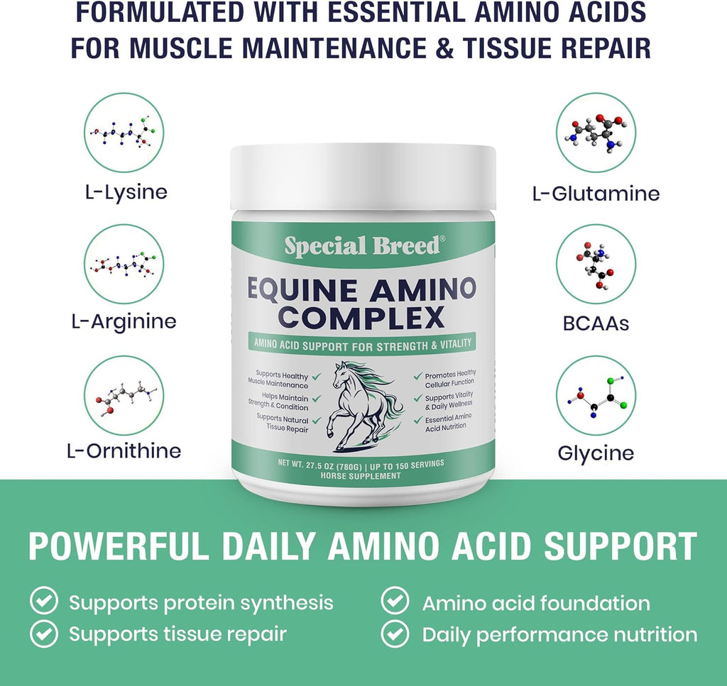 150-Day Supply Horse Amino Acid Supplement - Equine Amino Complex for Muscle, Topline & Recovery Support - Supports Strength, Tissue Repair & Vitality - Daily Horse Supplement Powder
