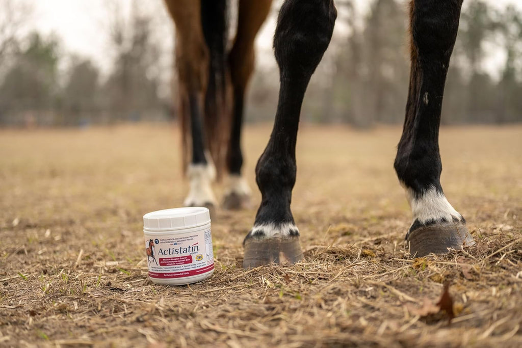 Actistatin Equine Powder, 2.05 lb – Suplemento veterinario para articulaciones de caballos, clínicamente probado: glucosamina, condroitina, manganeso – Apoya articulaciones, cartílagos, tejidos blandos y ligamentos