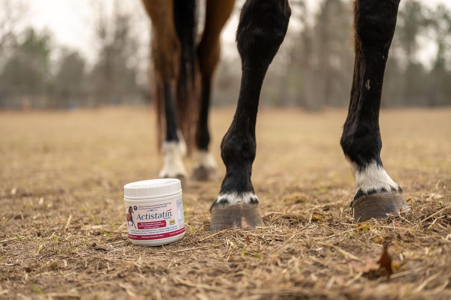 Actistatin Equine Powder, 2.05 lb – Suplemento veterinario para articulaciones de caballos, clínicamente probado: glucosamina, condroitina, manganeso – Apoya articulaciones, cartílagos, tejidos blandos y ligamentos