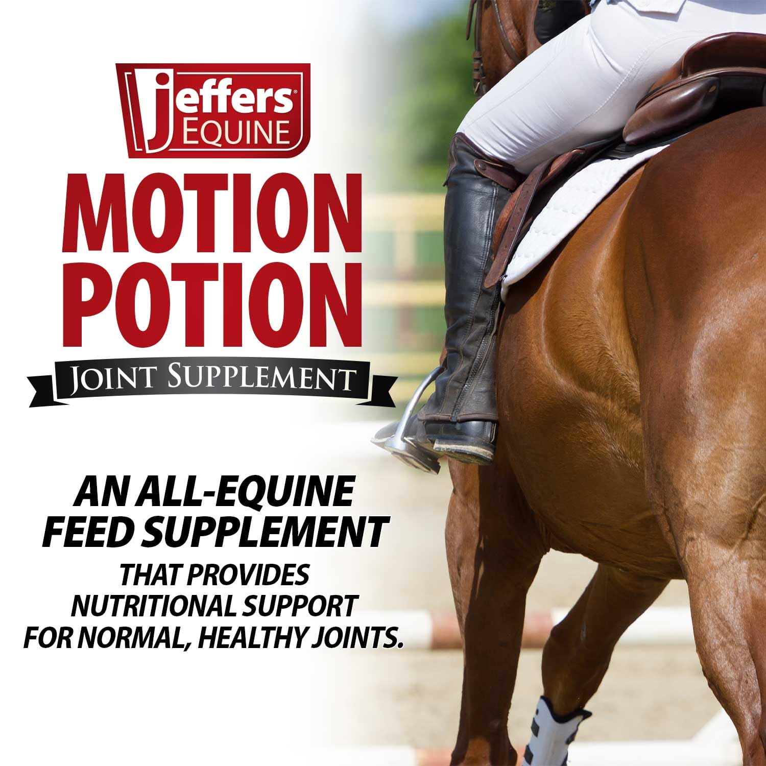Jeffers Motion Potion Horse Joint Supplement Pellets – Glucosamine HCL, MSM, Chondroitin, Hyaluronic Acid, Vitamin C & E, Daily Equine Support for Senior & Active Horses – 10 lbs, 160 Day Supply