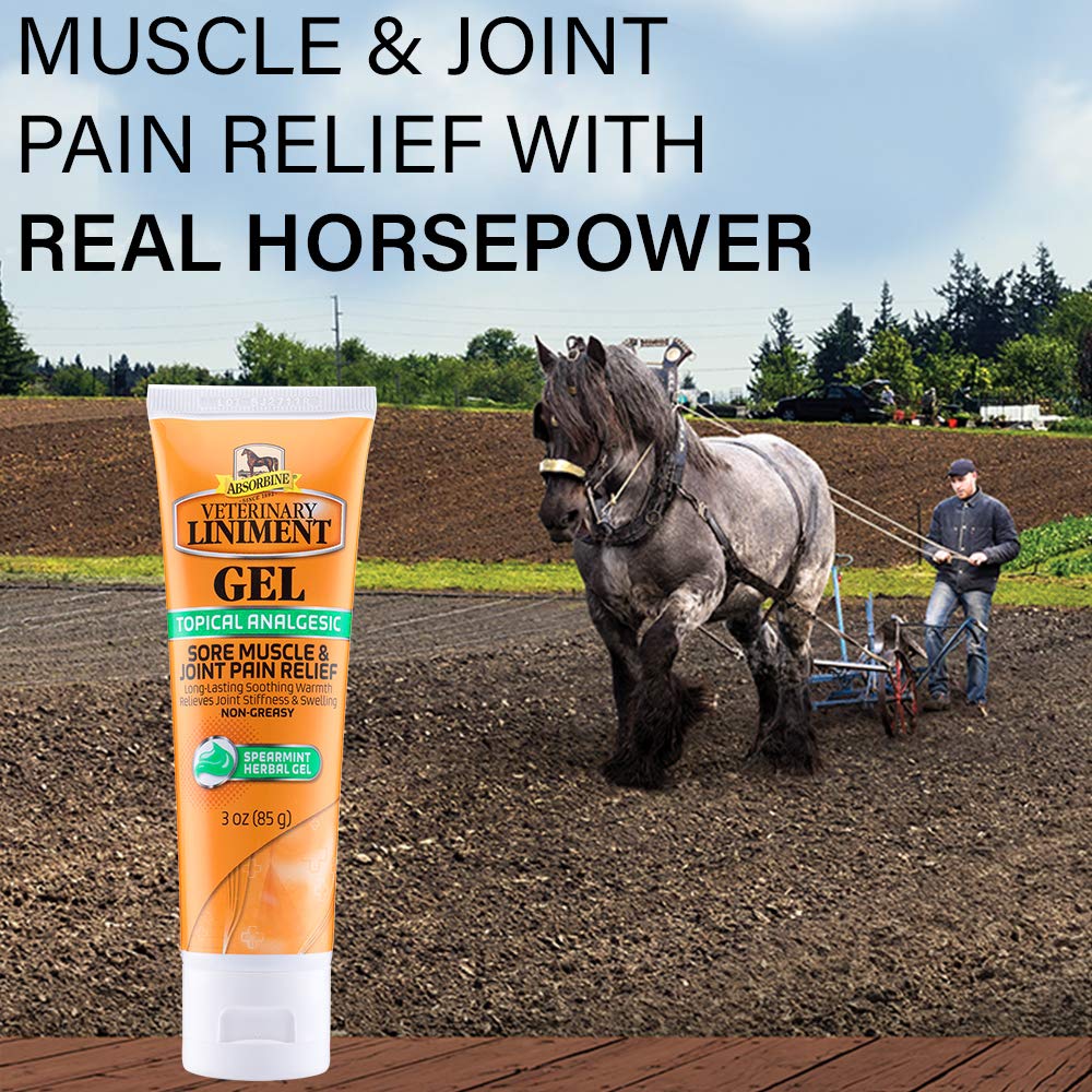 Absorbine Linimento Veterinario Analgésico Tópico Alivio del Dolor Muscular y Artrítico Linimento Rubefaciente, Gel de 340 gramos