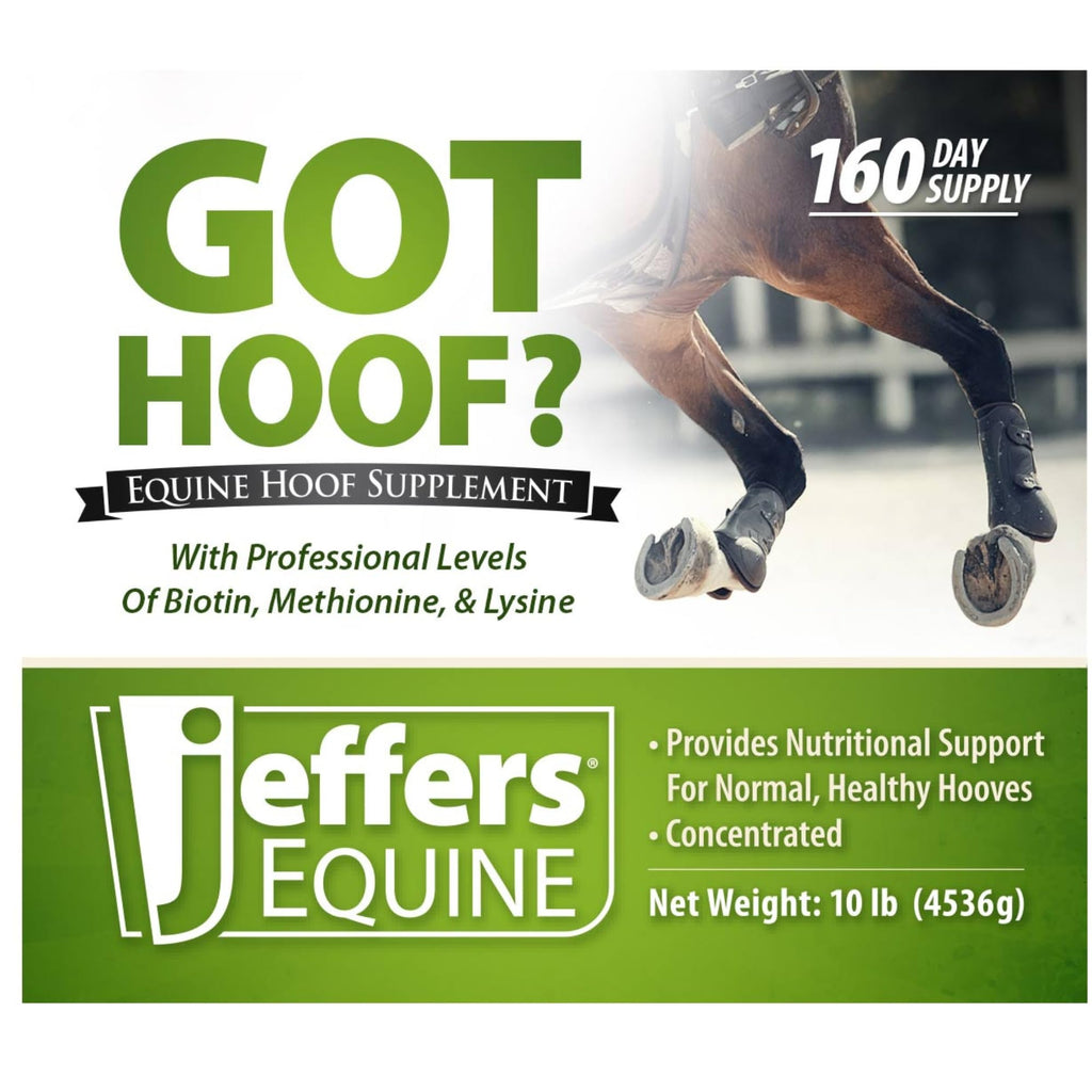 Jeffers Equine ¿Tienes Cascos? Suplemento Concentrado en Polvo para Cascos de Caballos, 4.5 kg - Biotina, Metionina, Zinc y Aminoácidos para un Crecimiento Seguro, Fuerza y Cascos Secos - Incluye Cuchara de 28 g