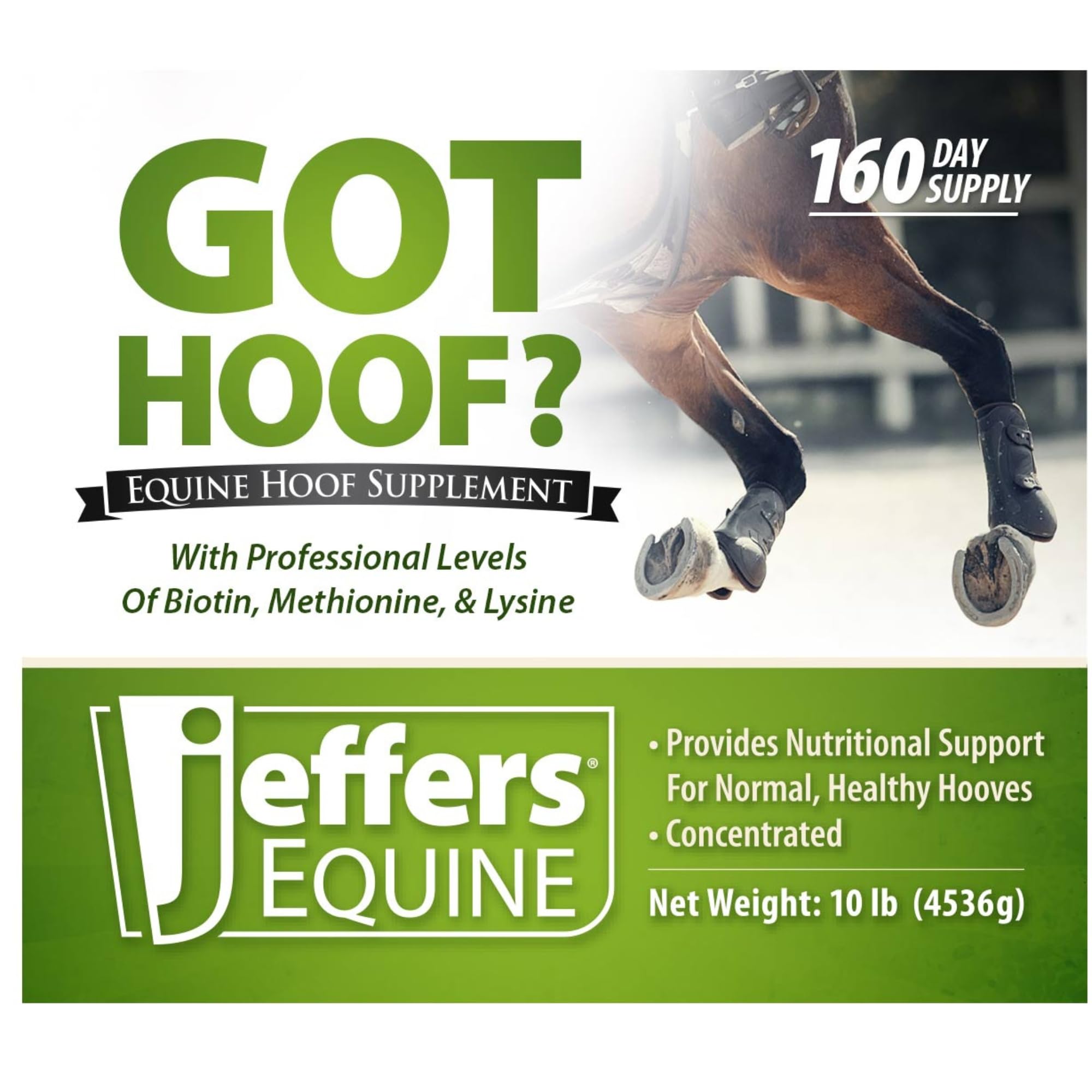 Jeffers Equine Got Hoof? Concentrated Horse Powder Hoof Supplement, 10 lbs - Biotin, Methionine, Zinc & Amino Acids for Safe Hoof Growth, Strength, and Dry Hooves - Includes 1 oz Scoop