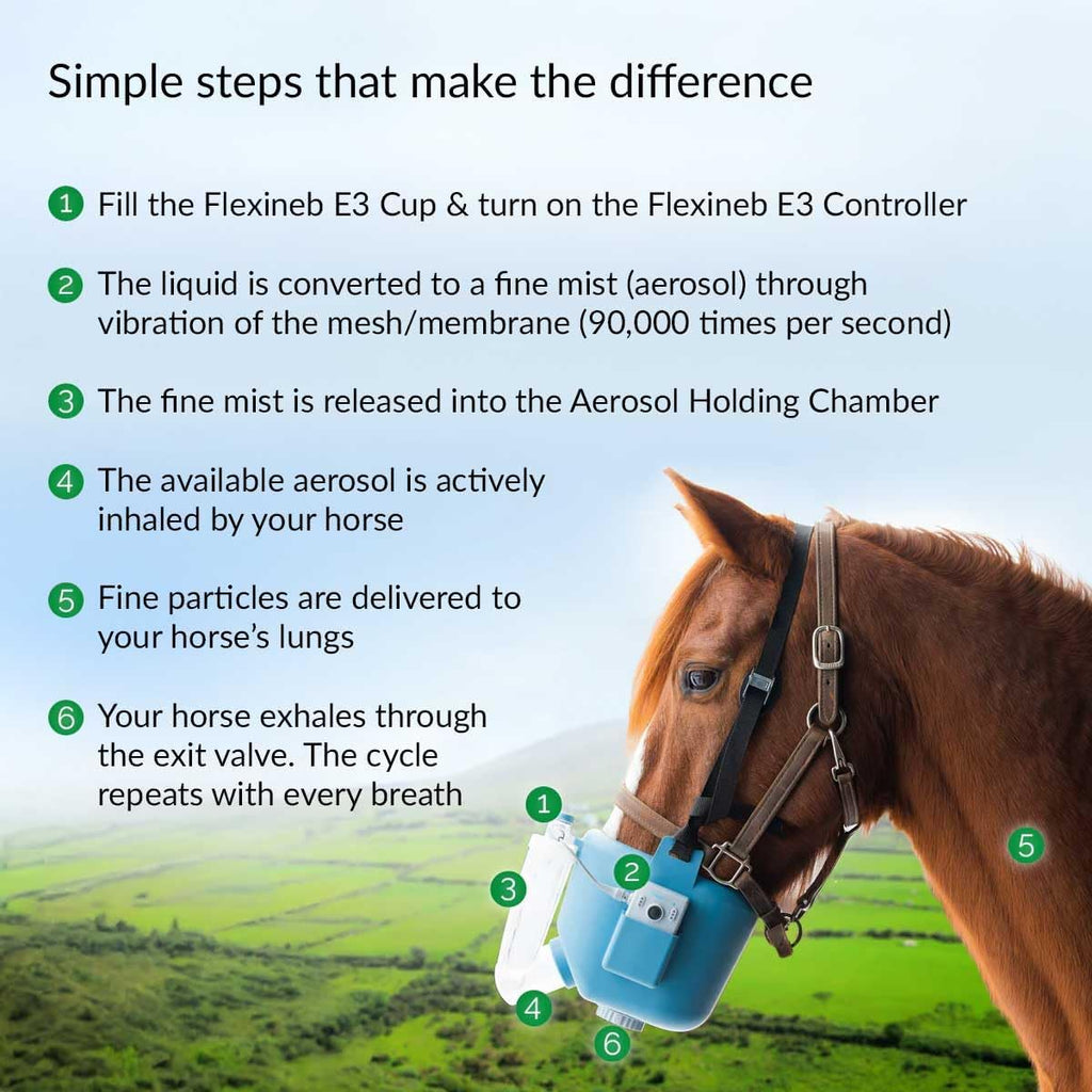 E3 Equine Nebulizer – Portable Silent Vapor Delivery System for Horses with AMT Auto Tuning, Dry Cup Detection, 6‑Hr Battery, App Support & Grooming Box Kit, Horse Size