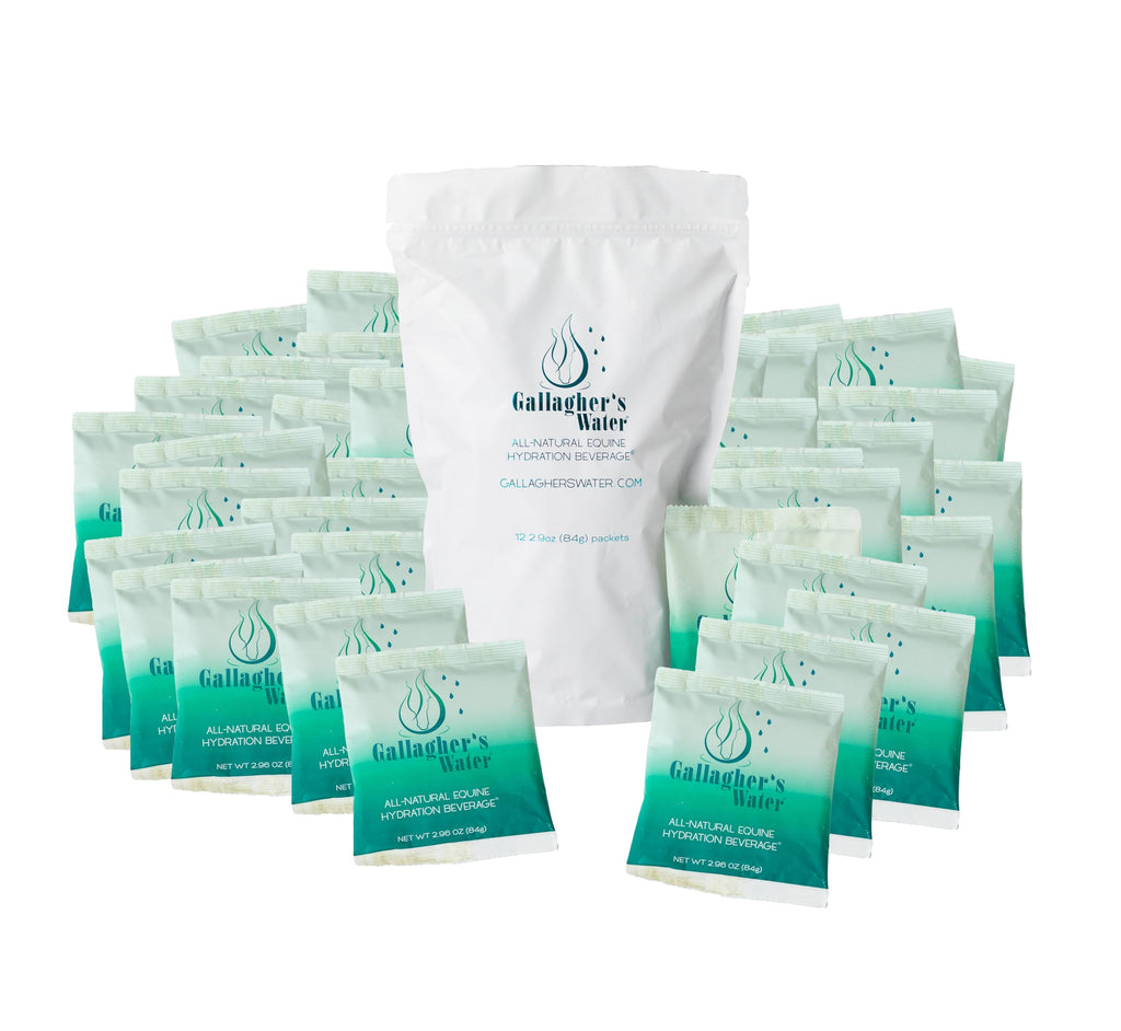 GALLAGHER'S WATER 2 Pack All-Natural Equine Hydration Treat - Enhancement Powder Mix Horse Drink Treat to Help Encourage to Drink Water - Made with All Natural Ingredients, FEI Compliant