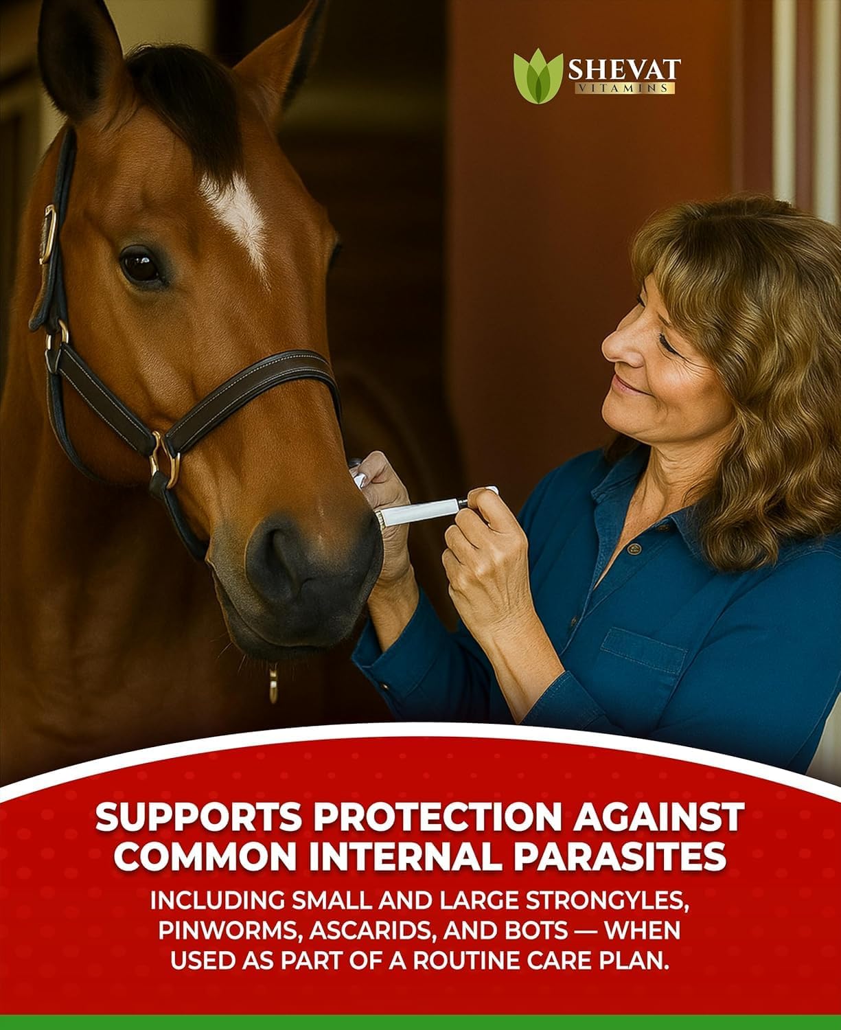 Ivermectin Horse Paste 1.87% – Apple Flavored – 6.08g Tube – for Horses Up to 1250 lb - 4 Pack