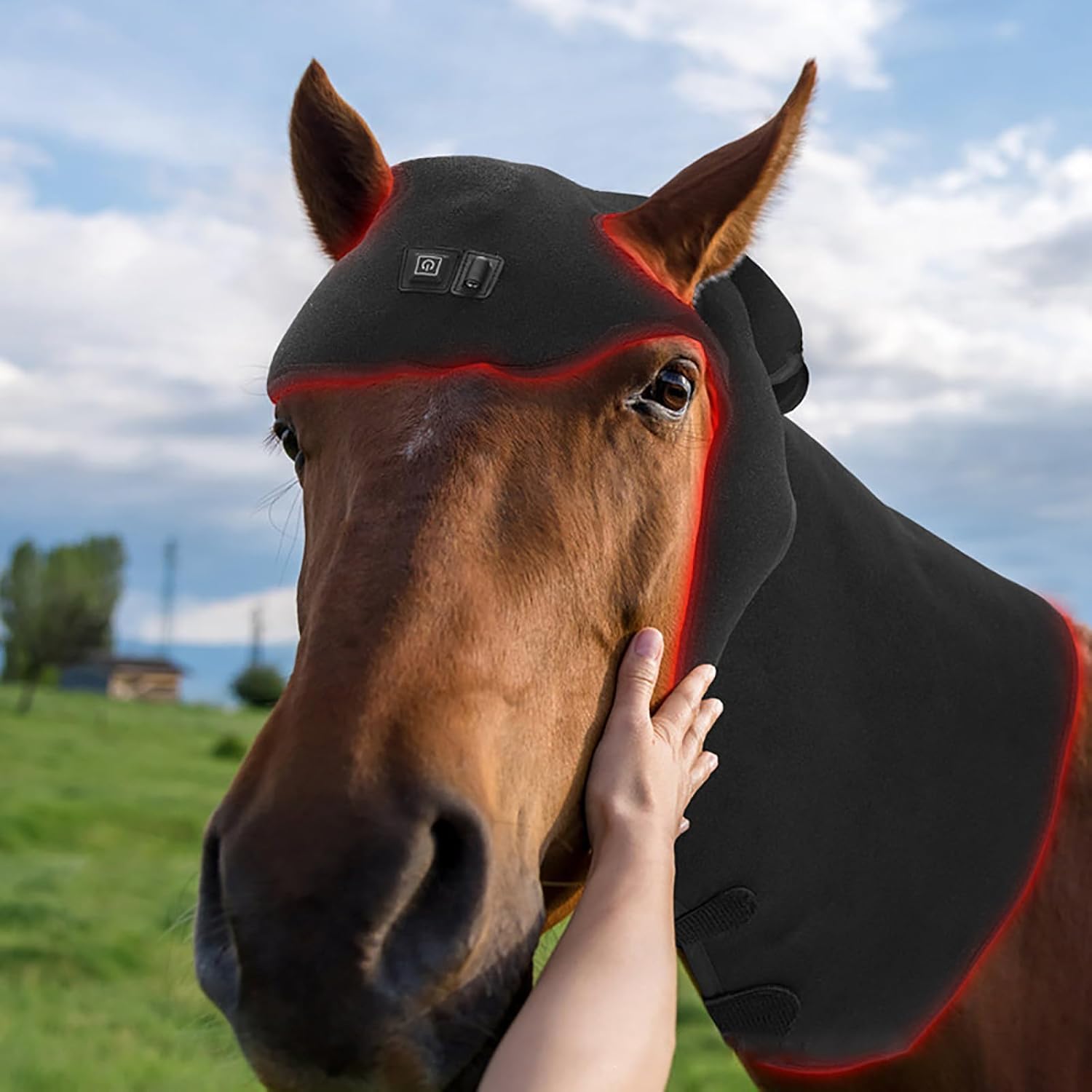 Wearable Red Light Therapy for Horses Head, Pain Relief Tissue Repair Muscle Infrared Light Therapy Device, Horse Head Injuries Recovery Fracture Healing