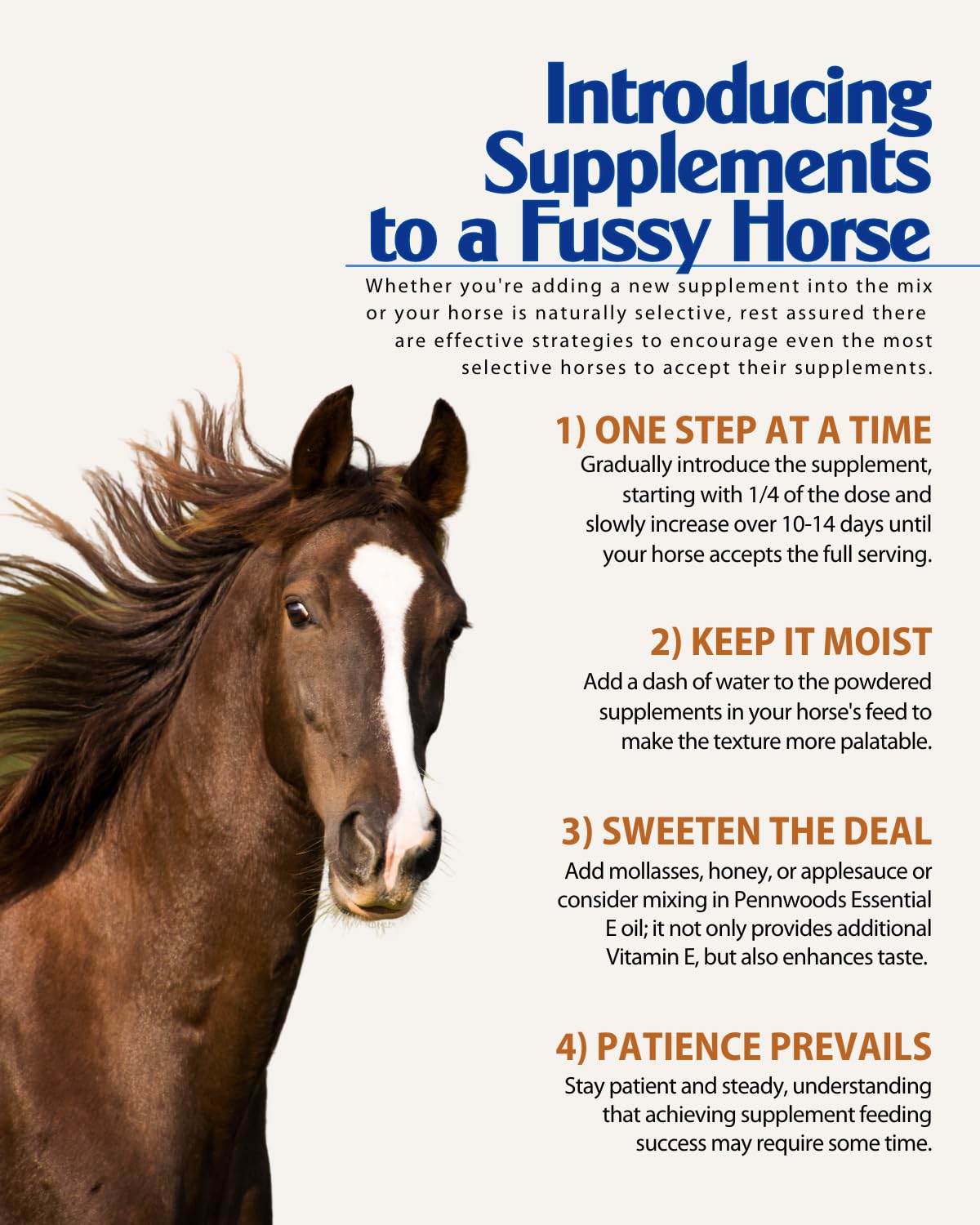 Pennwoods Equine Products GI Renew - 2 LBS | Digestión | Estimulante inmune | Suplemento para caballos | Estimulante del apetito | Probiótico | Prebiótico | Enzimas digestivas | Beta Glucanos |
