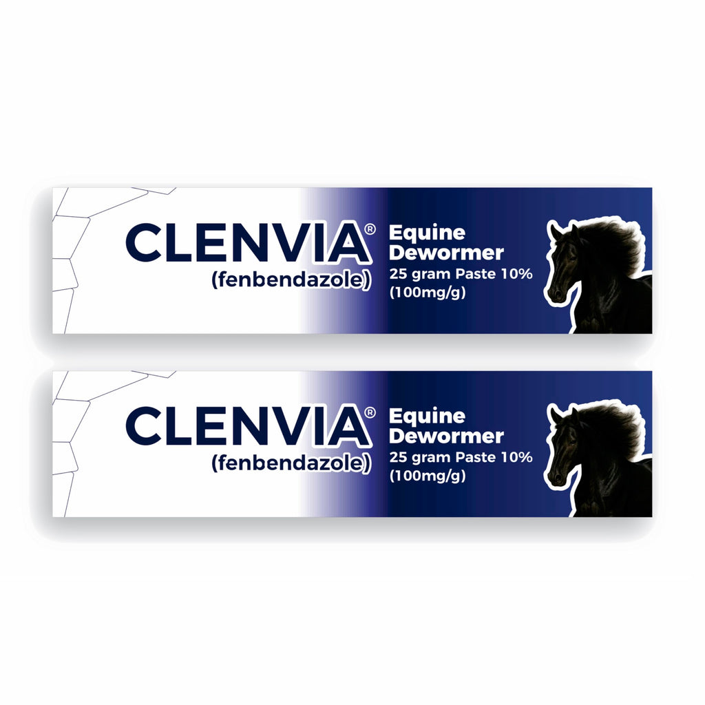 Horse Paste 10% – 25g Syringes – Oral Deworming Paste for Horses of All Ages – Easy-to-Administer Equine Care (Pack of 6)