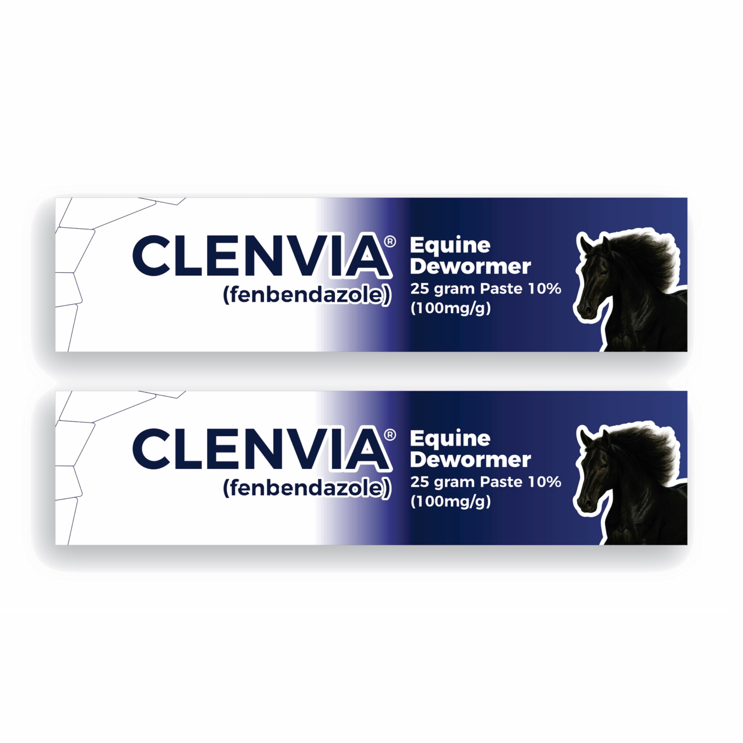 Horse Paste 10% – 25g Syringes – Oral Deworming Paste for Horses of All Ages – Easy-to-Administer Equine Care (Pack of 6)