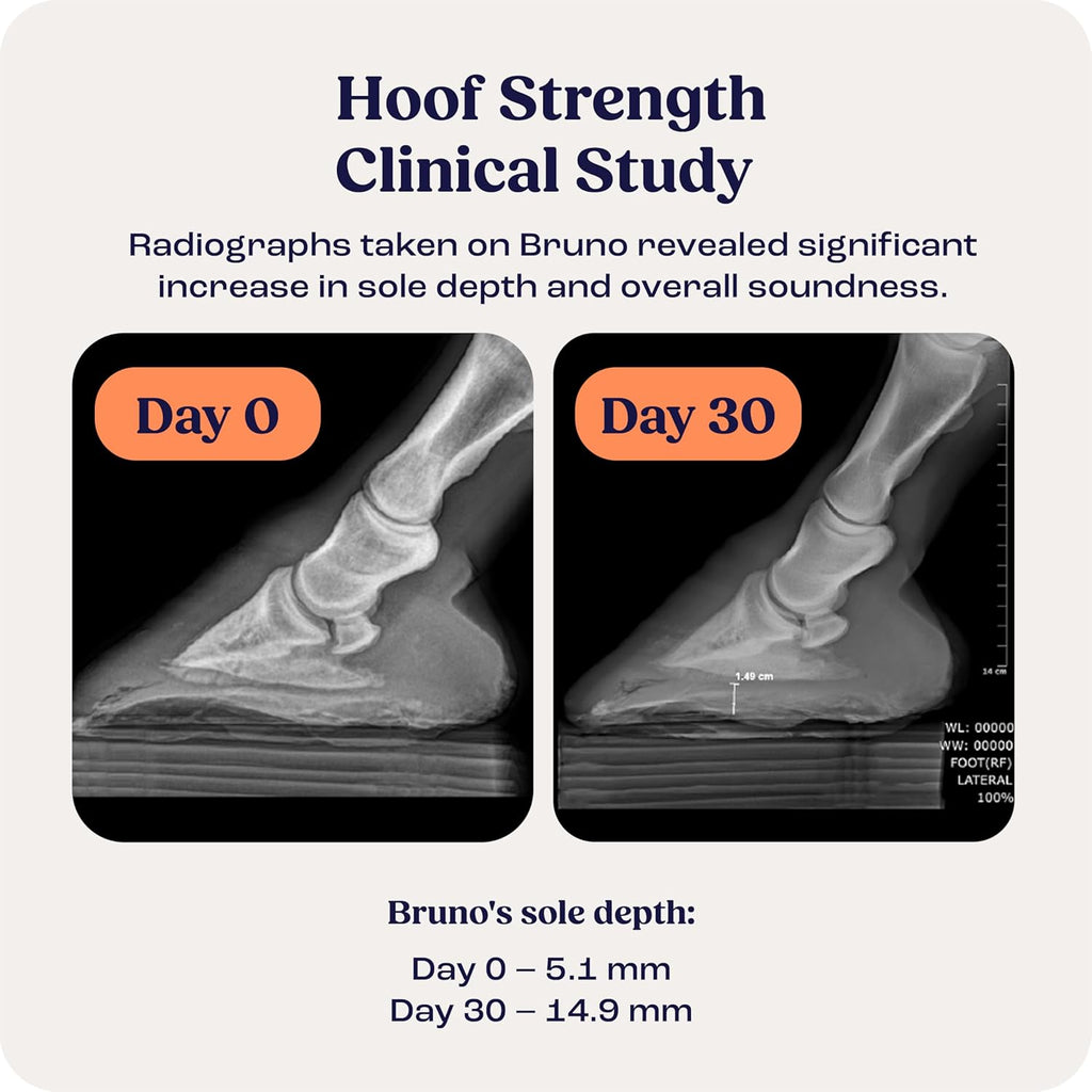 Summit Equine Hoof Strength Polvo para la Resistencia del Casco en Caballos, Promueve Cascos Saludables con Biotina, Aminoácidos y Minerales, Suplemento para Cascos de Caballos, 11 oz, Suministro para 30 Días