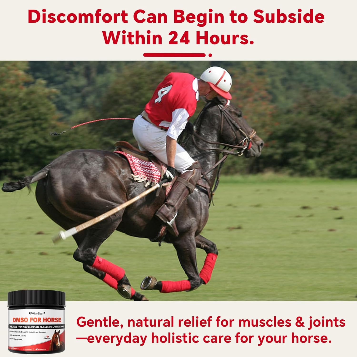 Gel Linimento DMSO para Caballos | Gel Linimento Veterinario | DMSO de Grado Médico | Crema para Caballos con Magnesio y Aceite de Ricino para el Dolor Articular y Muscular | Alivio del Dolor en Caballos | Gel para el Dolor Muscular - 60g