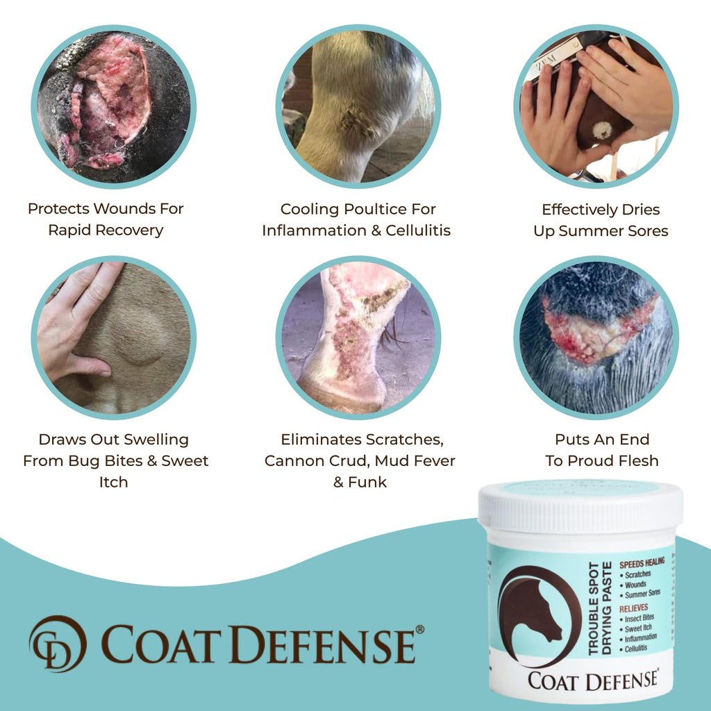 COAT DEFENSE Trouble Spot Drying Paste for Horses - Natural Equine Wound Care That Provides Safe & Effective Relief from Scratches, Sweet Itch, Summer Sores, Proud Flesh, Mud Fever, Girth Rot (10 Oz)