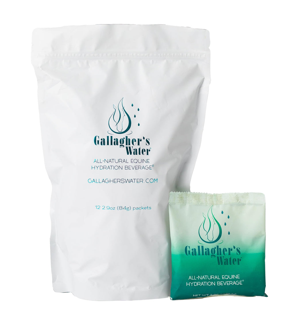 GALLAGHER'S WATER 2 Pack All-Natural Equine Hydration Treat - Enhancement Powder Mix Horse Drink Treat to Help Encourage to Drink Water - Made with All Natural Ingredients, FEI Compliant