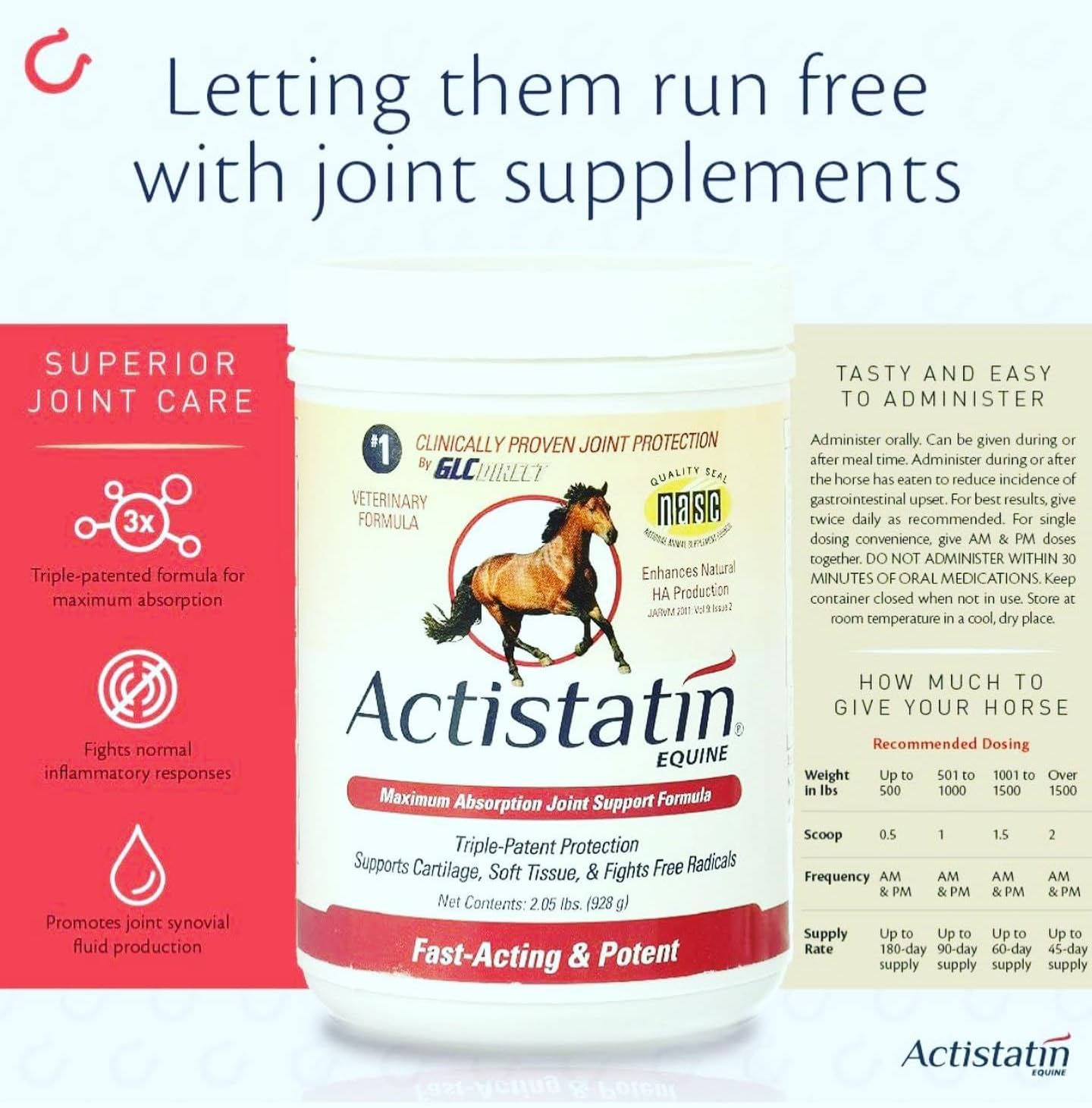Actistatin Equine Powder, 2.05 lbs – Clinically-Proven Veterinary Joint Support Supplement for Horses: Glucosamine, Chondroitin, Manganese – Supports Joints, Cartilage, Soft Tissue & Ligaments