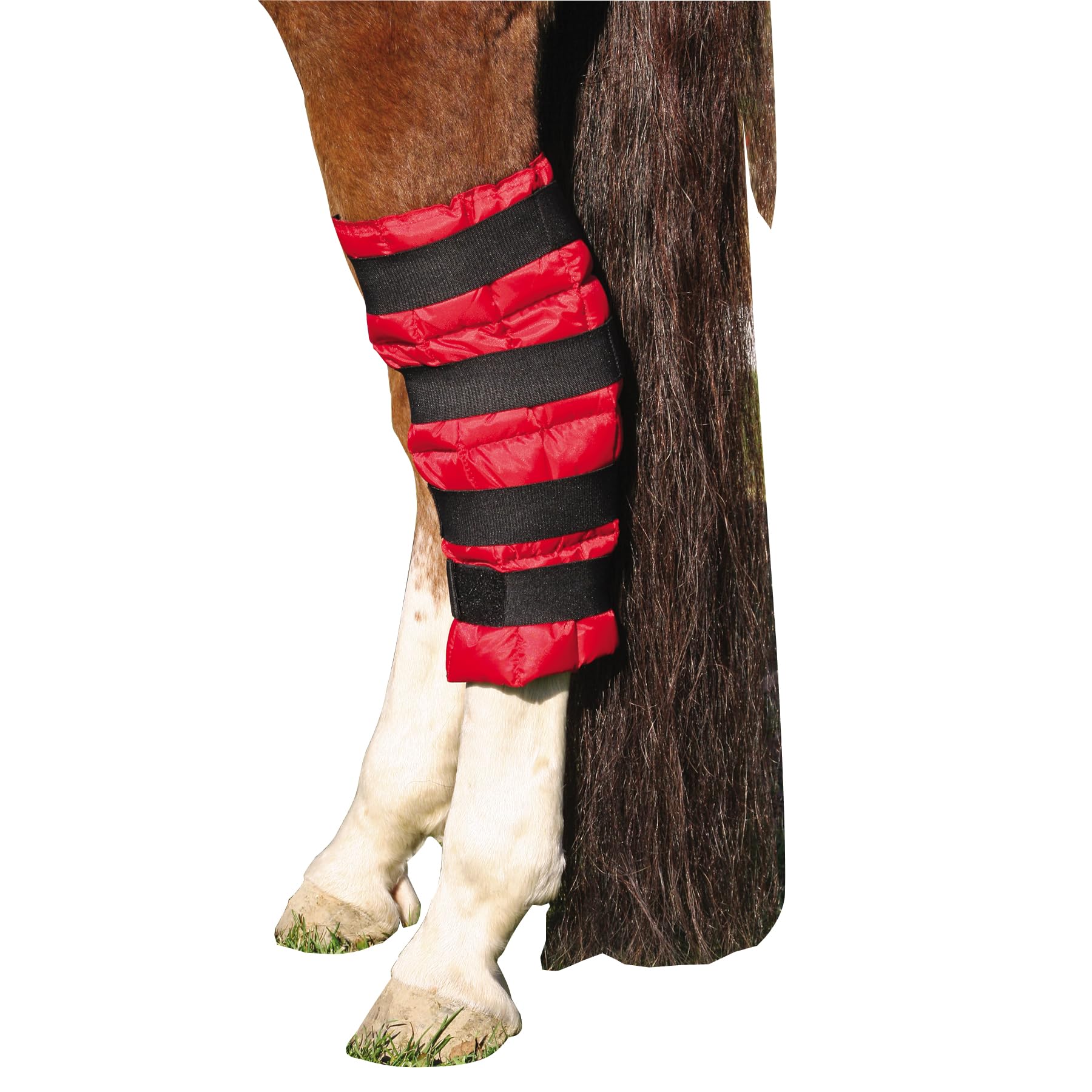 Dura-Tech Cooling Gel Wrap for Horses | Instant Cold Therapy | Fits Ponies, Horses, and Drafts | Durable 420-Denier Outer | Flexible and Comfortable Fit | Size 16" x20"