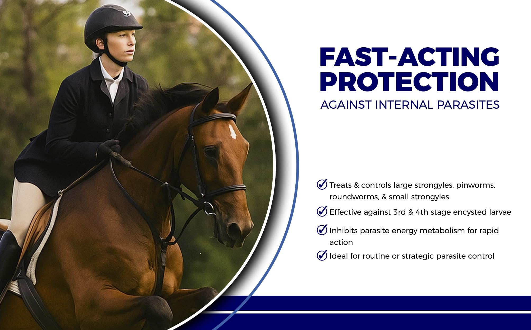 Horse Paste 10% – 25g Syringes – Oral Deworming Paste for Horses of All Ages – Easy-to-Administer Equine Care (Pack of 6)