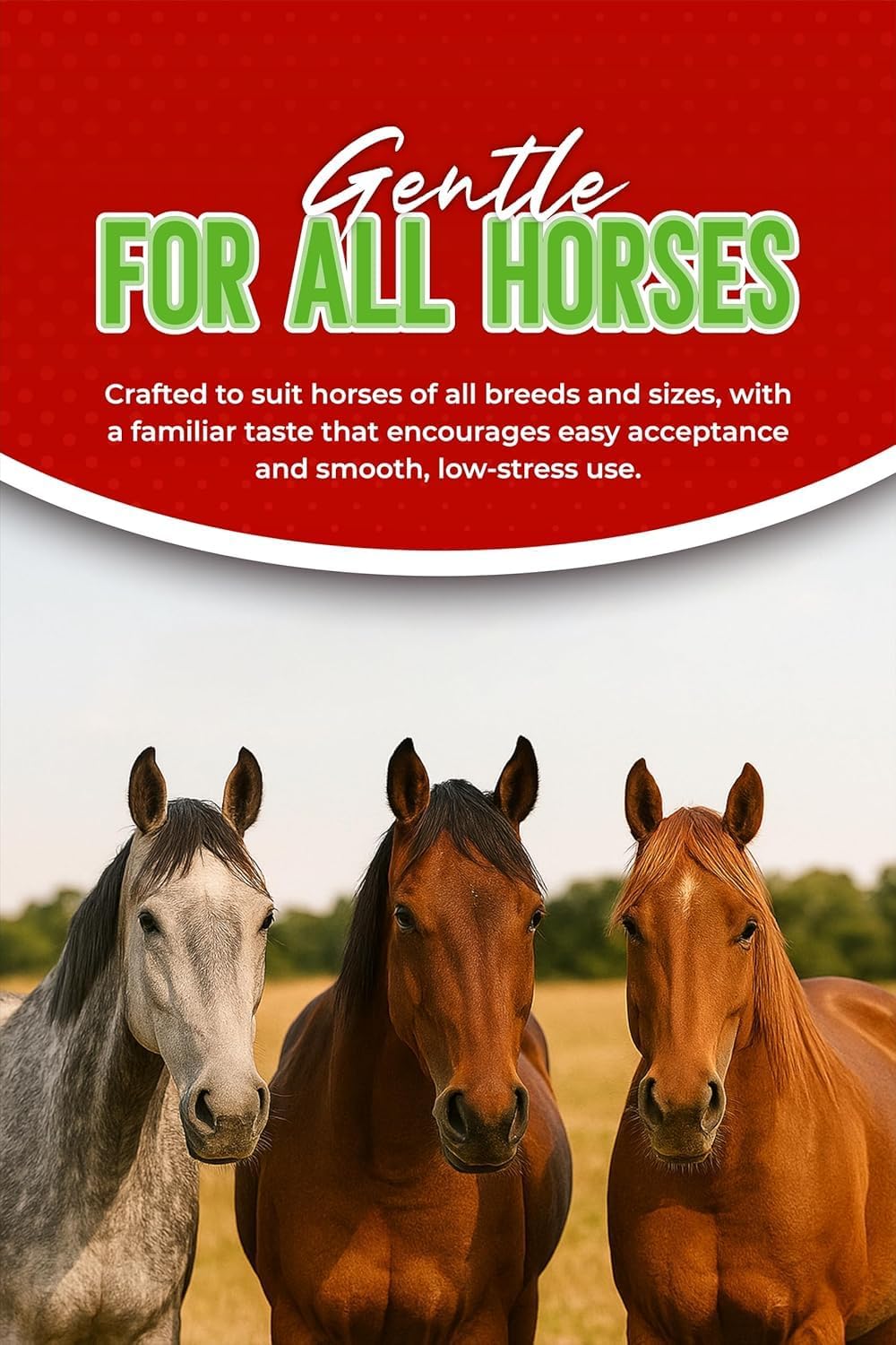 Pasta de Ivermectina para Caballos 1.87% – Sabor Manzana – Tubo de 6.08g – para Caballos de hasta 1250 lb - Paquete de 4