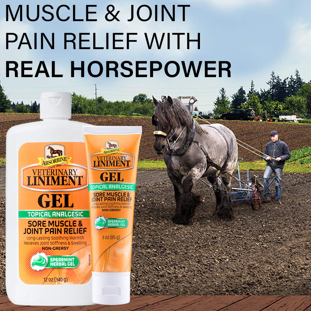 Absorbine Linimento Veterinario Analgésico Tópico Alivio del Dolor Muscular y Artrítico Linimento Rubefaciente, Gel de 340 gramos