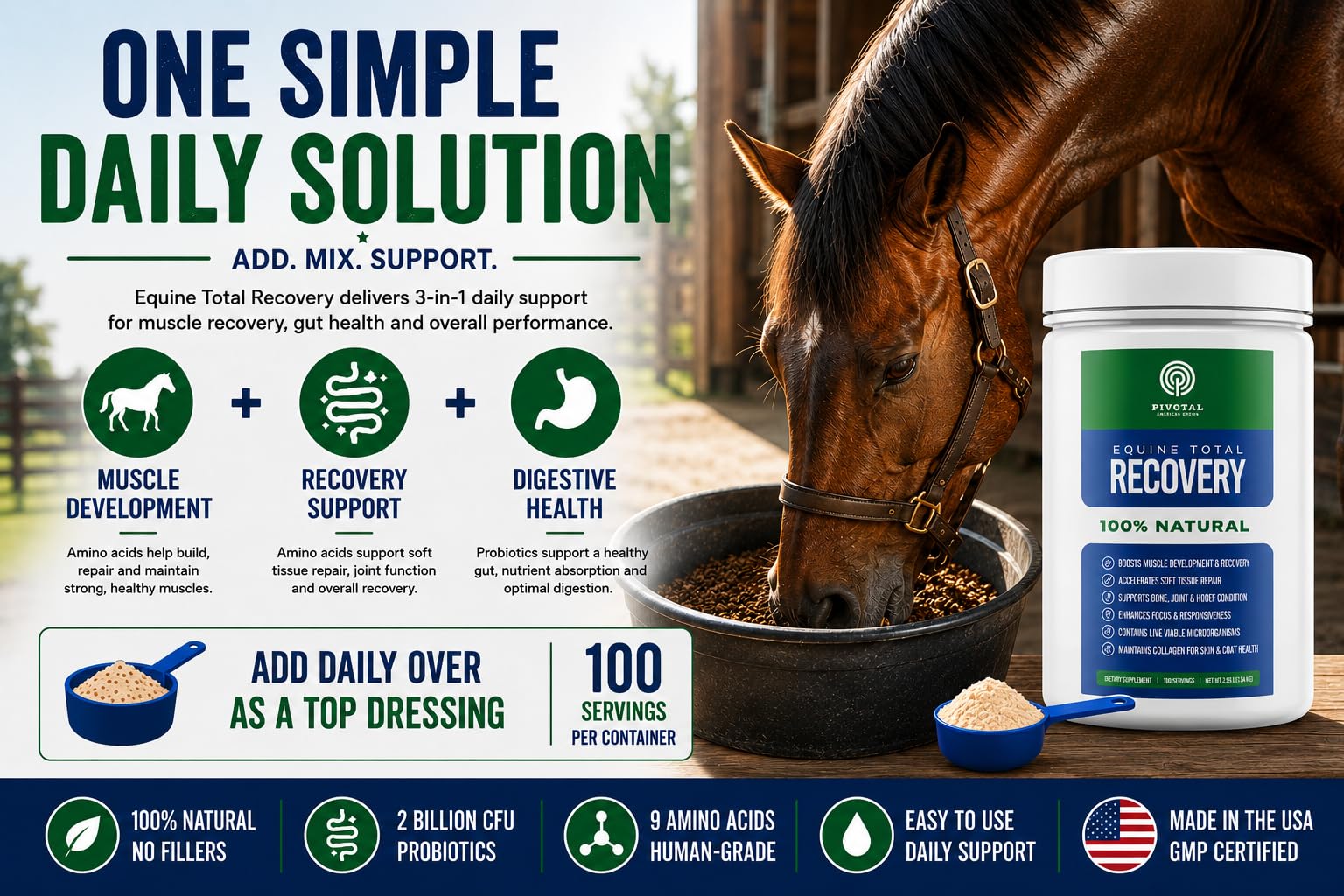 Pivotal Feeds Equine Total Recovery Suplemento – 9 aminoácidos y probióticos para caballos | Recuperación muscular, rendimiento y apoyo digestivo | Aderezo de pienso para caballos | 100 porciones