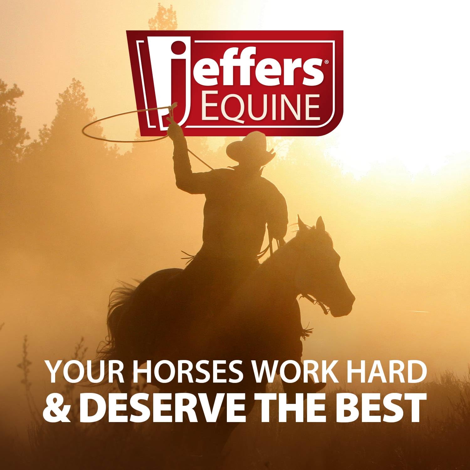 Gránulos de suplemento para articulaciones de caballos Motion Potion de Jeffers – Glucosamina HCl, MSM, Condroitina, Ácido hialurónico, Vitaminas C y E, Soporte equino diario para caballos mayores y activos – 10 lbs, Suministro para 160 días