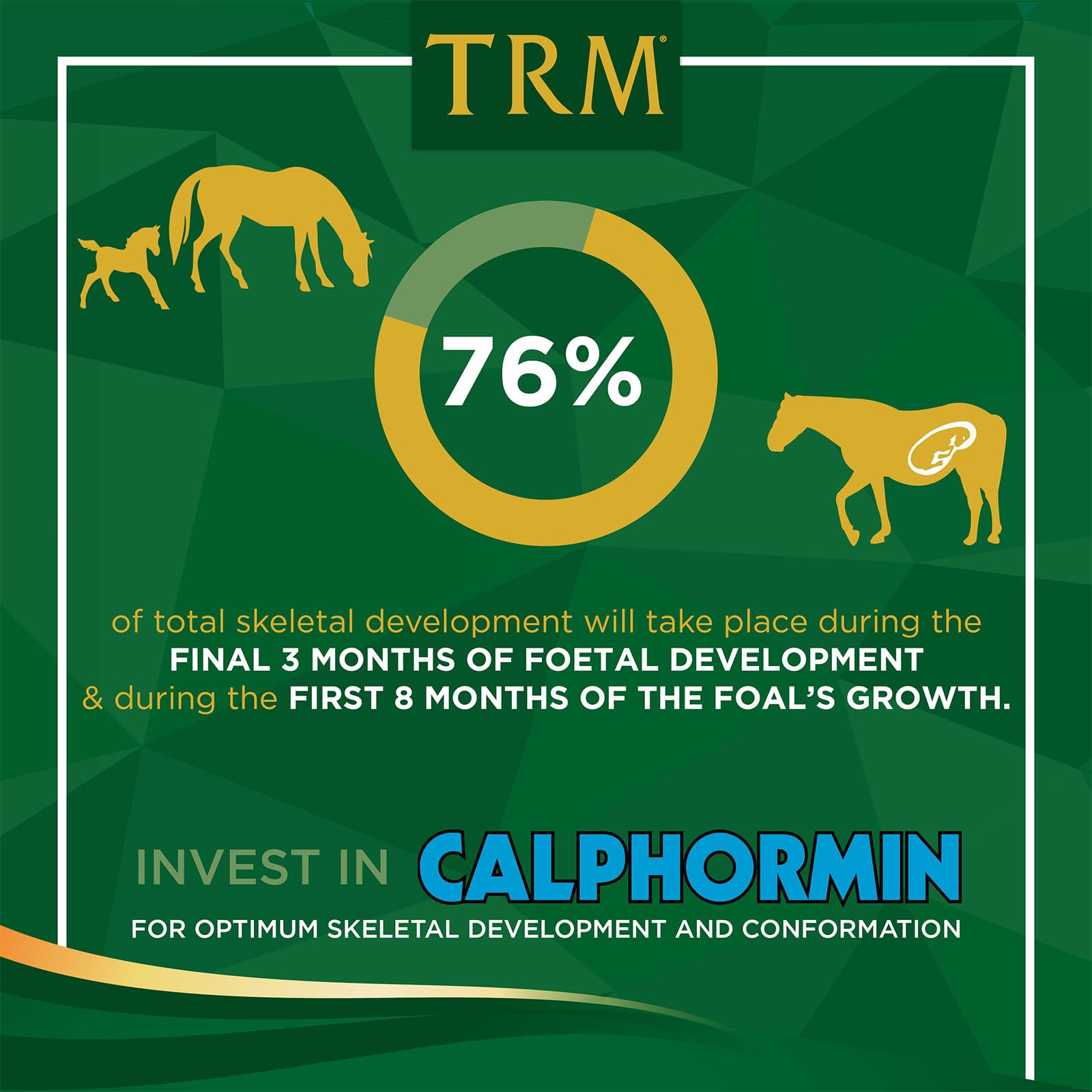 TRM Calphormin Nutrient-Rich Horse Supplement for Optimal Skeletal Development of Young Horses - 22 lb (10 Kg) - Bucket - 22 lb