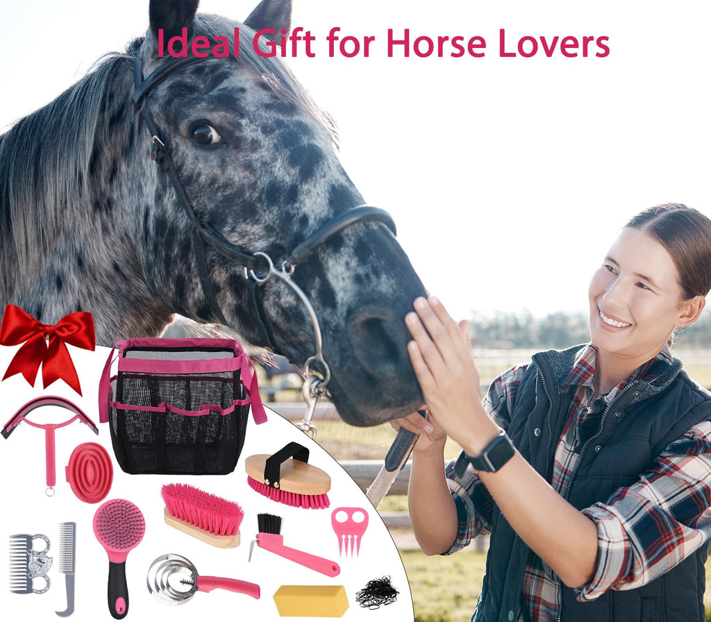 Horse Grooming Kit 13 Piece, Horse Brushes for Grooming Supplies Set with Organizer Bag, Horse Brush & Curry Comb for Effective Cleaning, Gift for Horses Riders Beginners