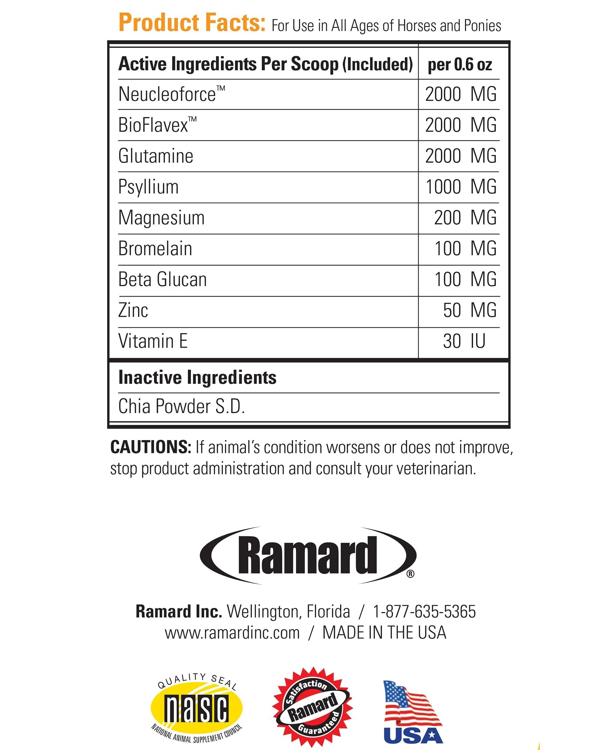 Ramard Total Calm and Focus for Horses Supplement - Magnesium & Calming Formula for Horse Show, Training, Performance Mental Alertness Without Drowsiness, Show Safe, Equine Supplies 1oz Syringe 3Packs
