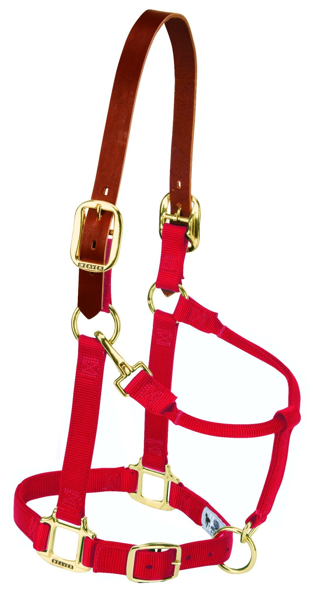 Weaver Equine Breakaway Horse Halter, Supple Leather Crown, Adjustable Brass Throat Snap Halters for Horses, Equine Tack
