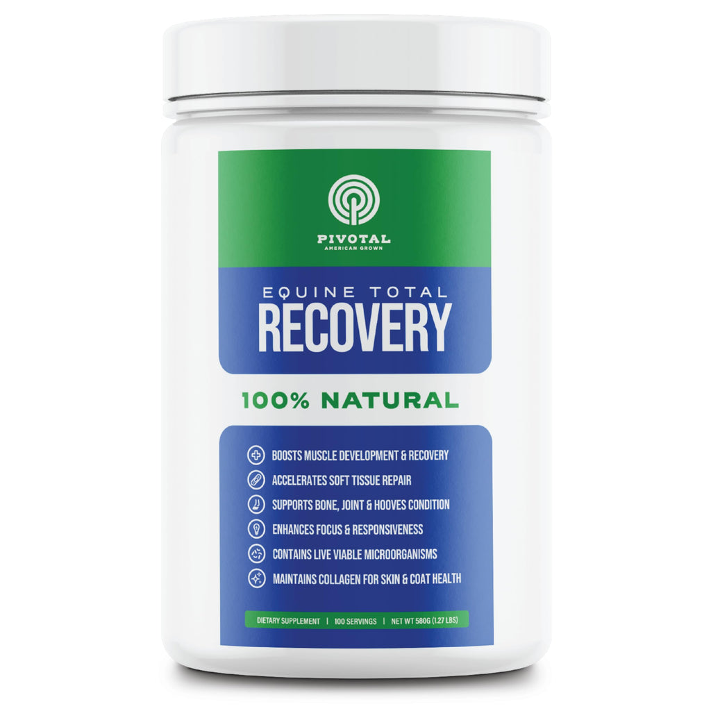 Pivotal Feeds Equine Total Recovery Suplemento – 9 aminoácidos y probióticos para caballos | Recuperación muscular, rendimiento y apoyo digestivo | Decoración de alimentación para caballos | 100 porciones