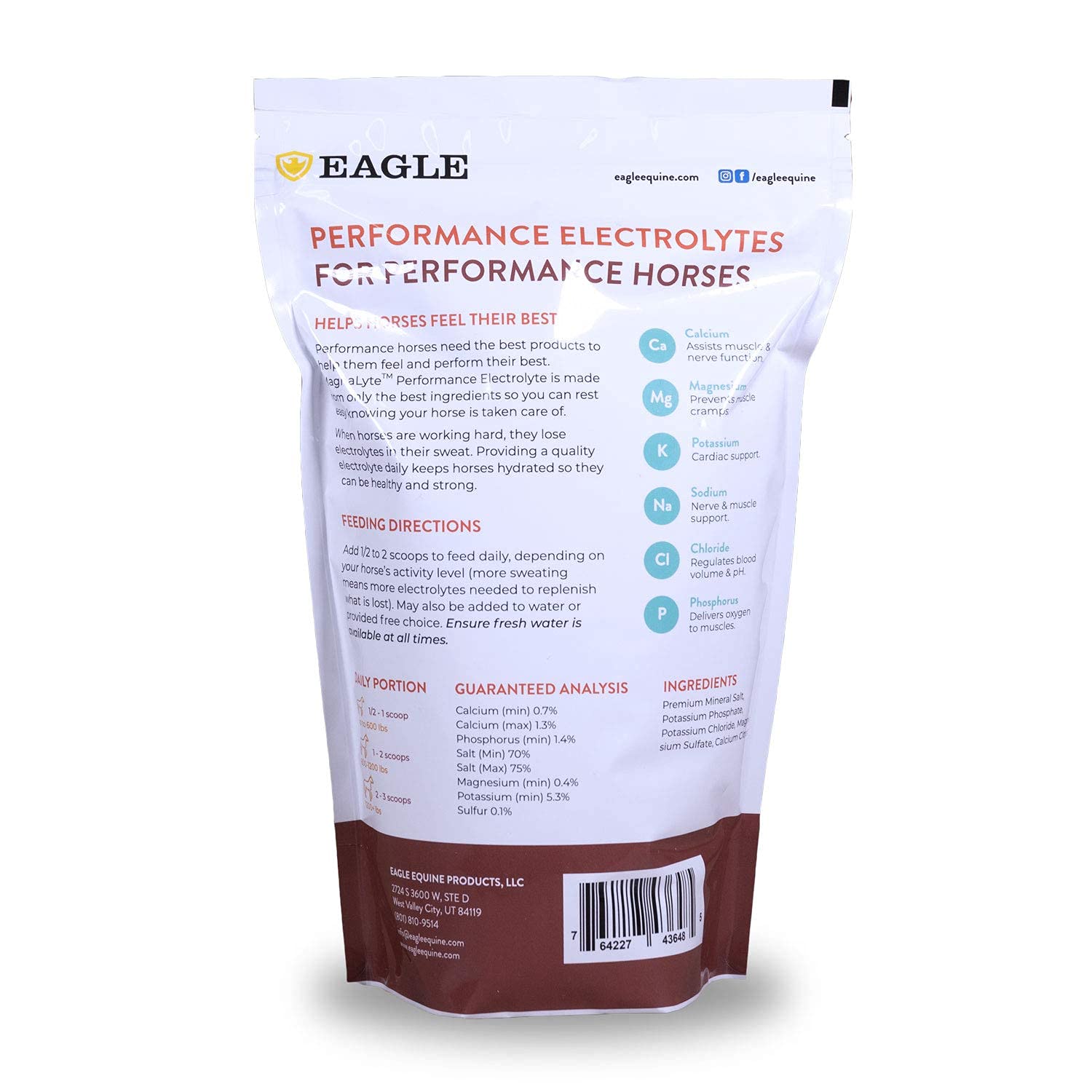 MagnaLyte Sal Suelta y Electrolitos para Caballos de Eagle Equine | Sal Marina Mineral, Oligoelementos, Electrolitos | Bolsa de 4 lb