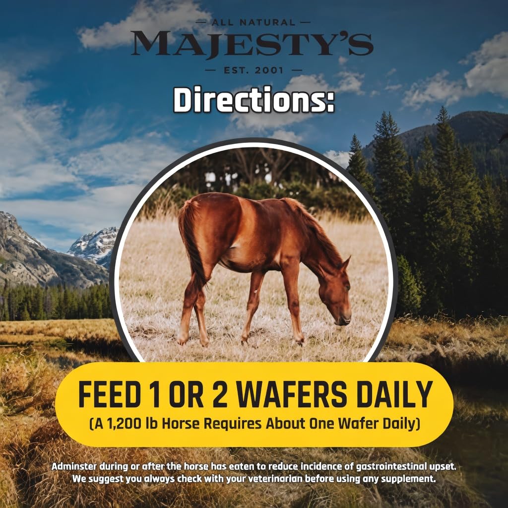Majesty's Flex XT Wafers - Superior Horse/Equine Joint Support with Increased Supplement Levels - Glucosamine, MSM, Yucca, Vitamin C - 30 Count (1 Month Supply)