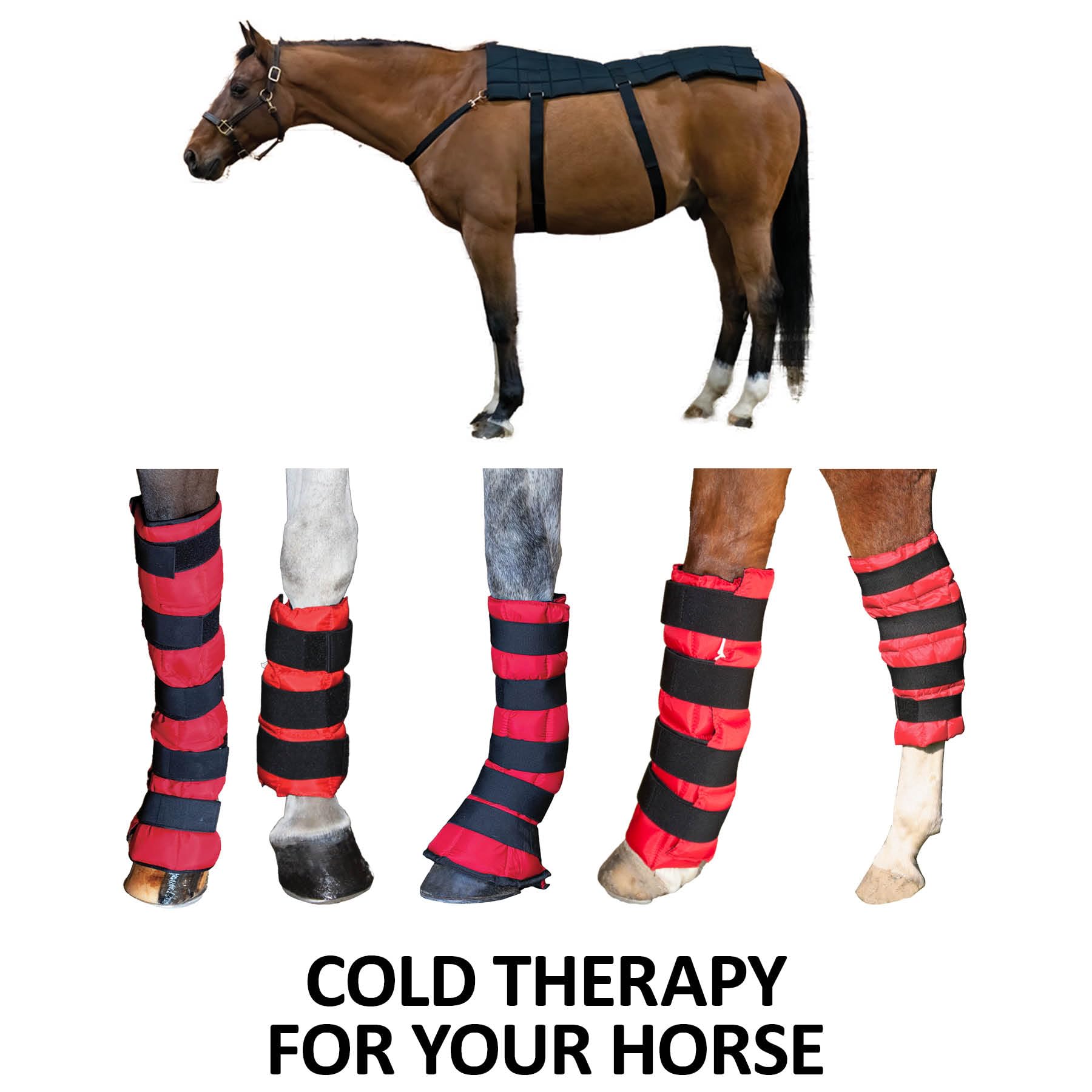 Dura-Tech Cooling Gel Wrap for Horses | Instant Cold Therapy | Fits Ponies, Horses, and Drafts | Durable 420-Denier Outer | Flexible and Comfortable Fit | Size 16" x20"