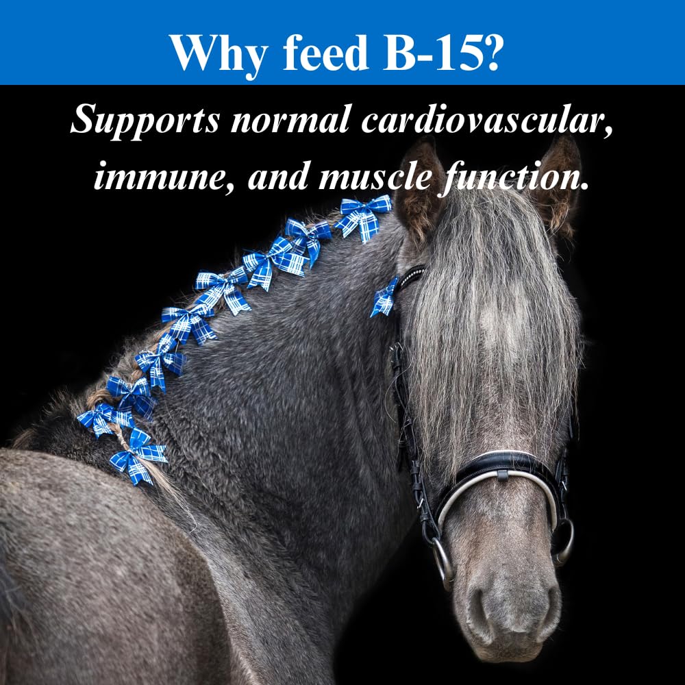 SU-PER B-15 Vitamin Supplement for Horses - Equine Vitamin B-15 Powder for Performance Support - 12.5 Pounds, 6 Month Supply