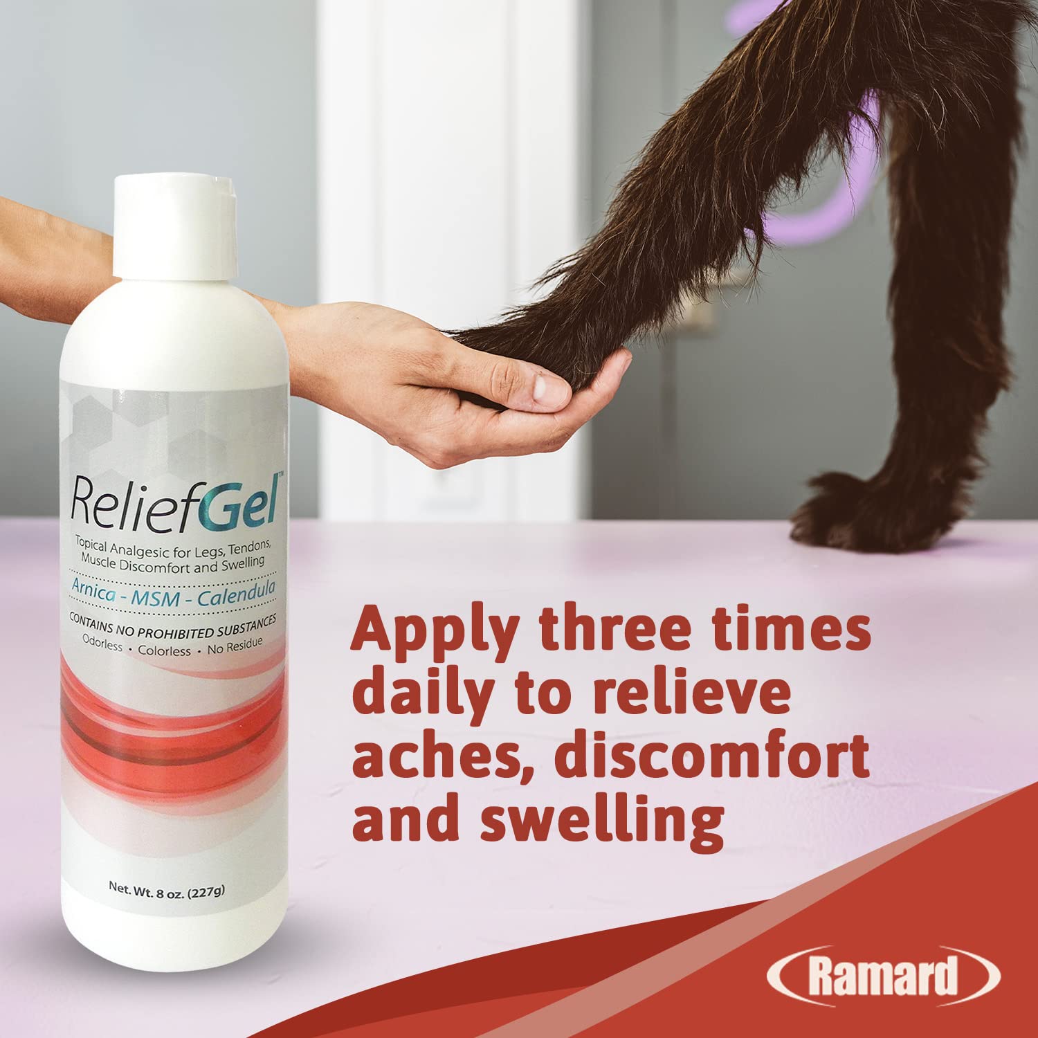 Ramard Relief Poultice for Horses -Veterinary Liniment Gel for Horse Muscle, Joint, Tendon & Ligament Care -Equine Poultice Leg Wraps, Gentle Liniment Bentonite Clay, Arnica, Calendula, & MSM 5lbs Tub