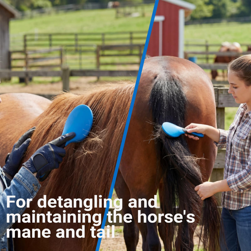 Horse Grooming Kit 13 Piece, Horse Brushes for Grooming Supplies Set with Organizer Bag, Horse Brush & Curry Comb for Effective Cleaning, Gift for Horses Riders Beginners