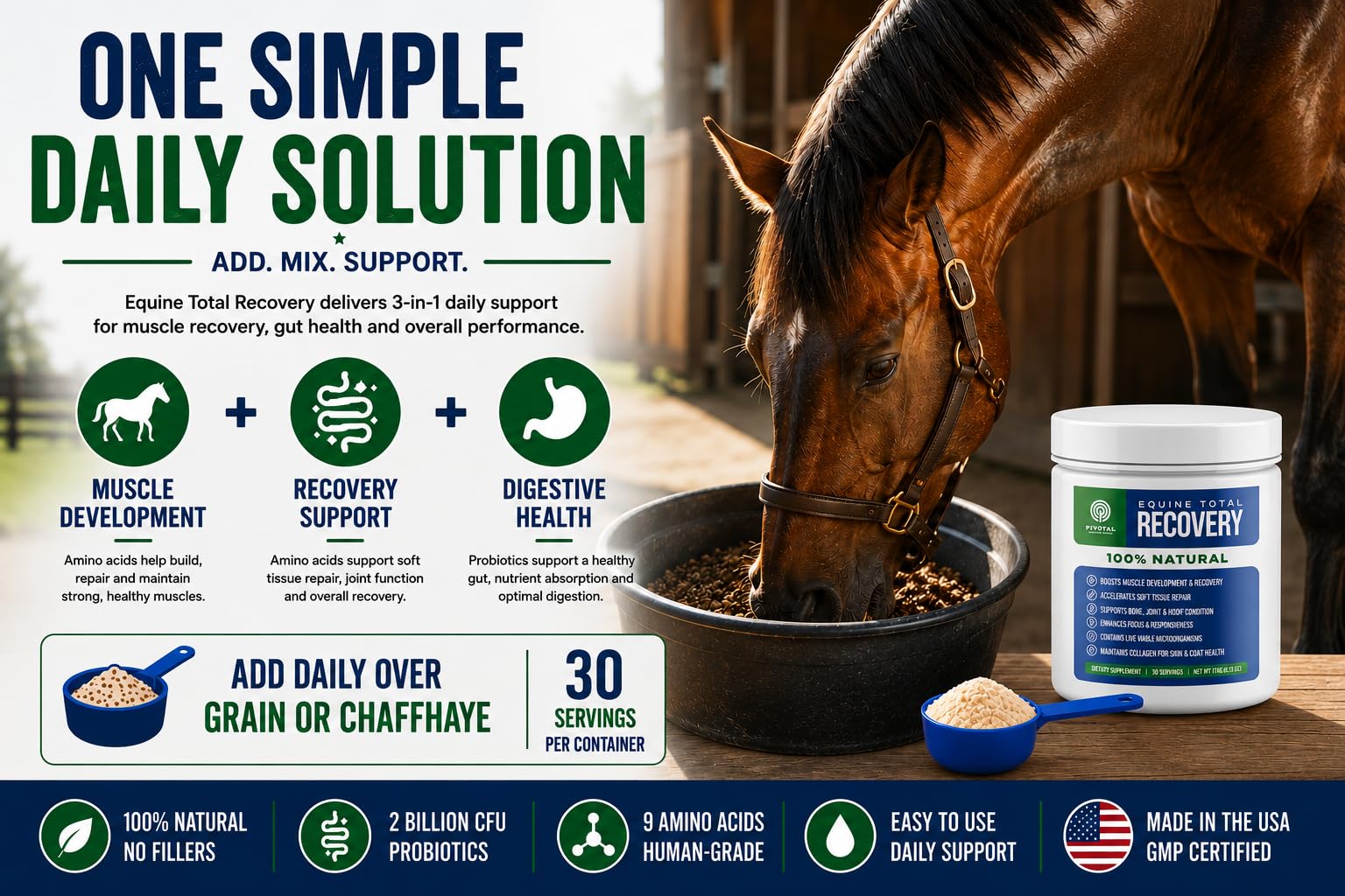 Pivotal Feeds Equine Total Recovery Suplemento – 9 aminoácidos y probióticos para caballos | Recuperación muscular, rendimiento y apoyo digestivo | Decoración de alimentación para caballos | 100 porciones