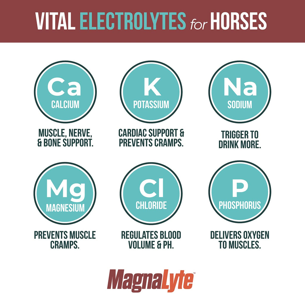 MagnaLyte Sal Suelta y Electrolitos para Caballos de Eagle Equine | Sal Marina Mineral, Oligoelementos, Electrolitos | Bolsa de 4 lb