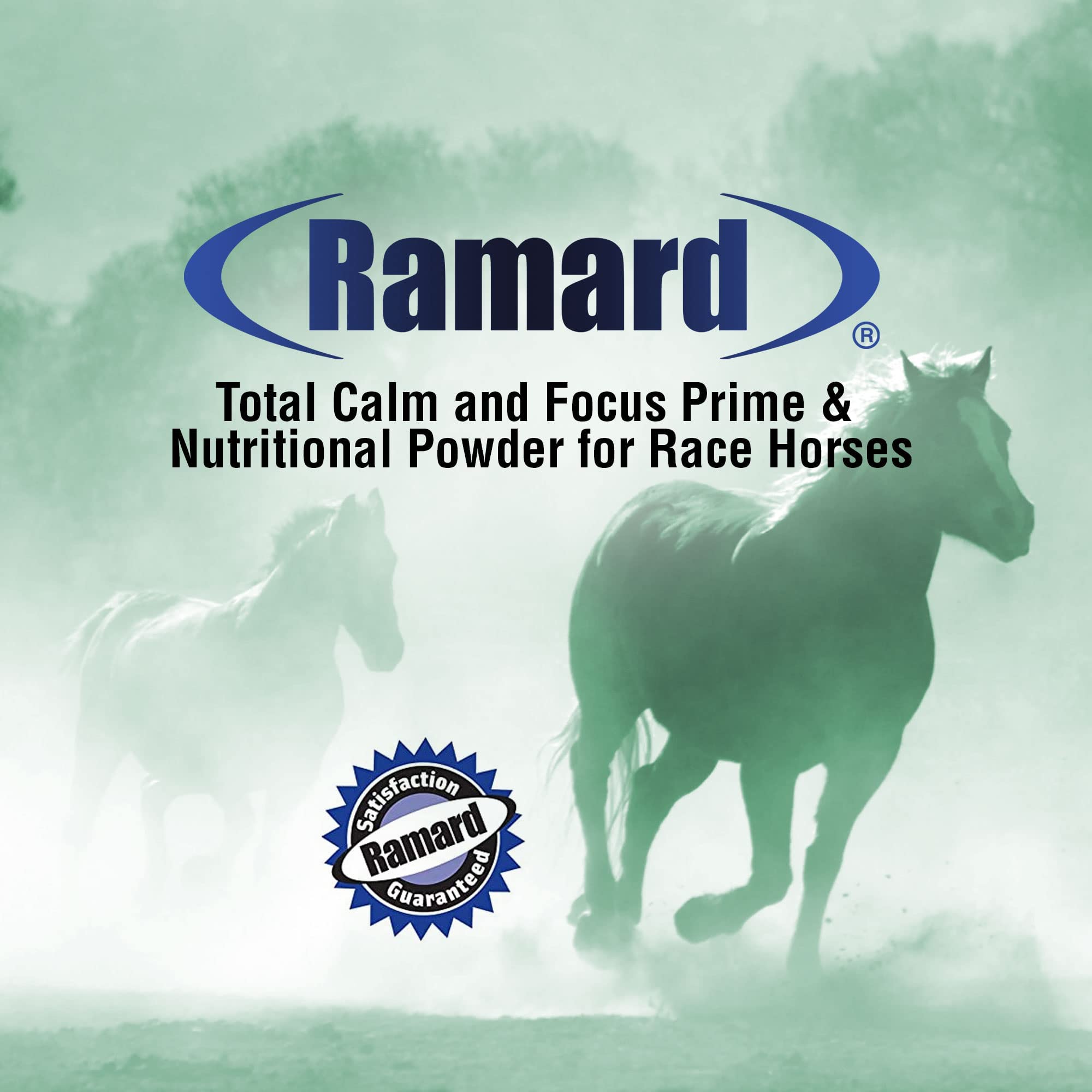 Ramard Total Calm and Focus for Horses Supplement - Magnesium & Calming Formula for Horse Show, Training, Performance Mental Alertness Without Drowsiness, Show Safe, Equine Supplies 1oz Syringe 3Packs