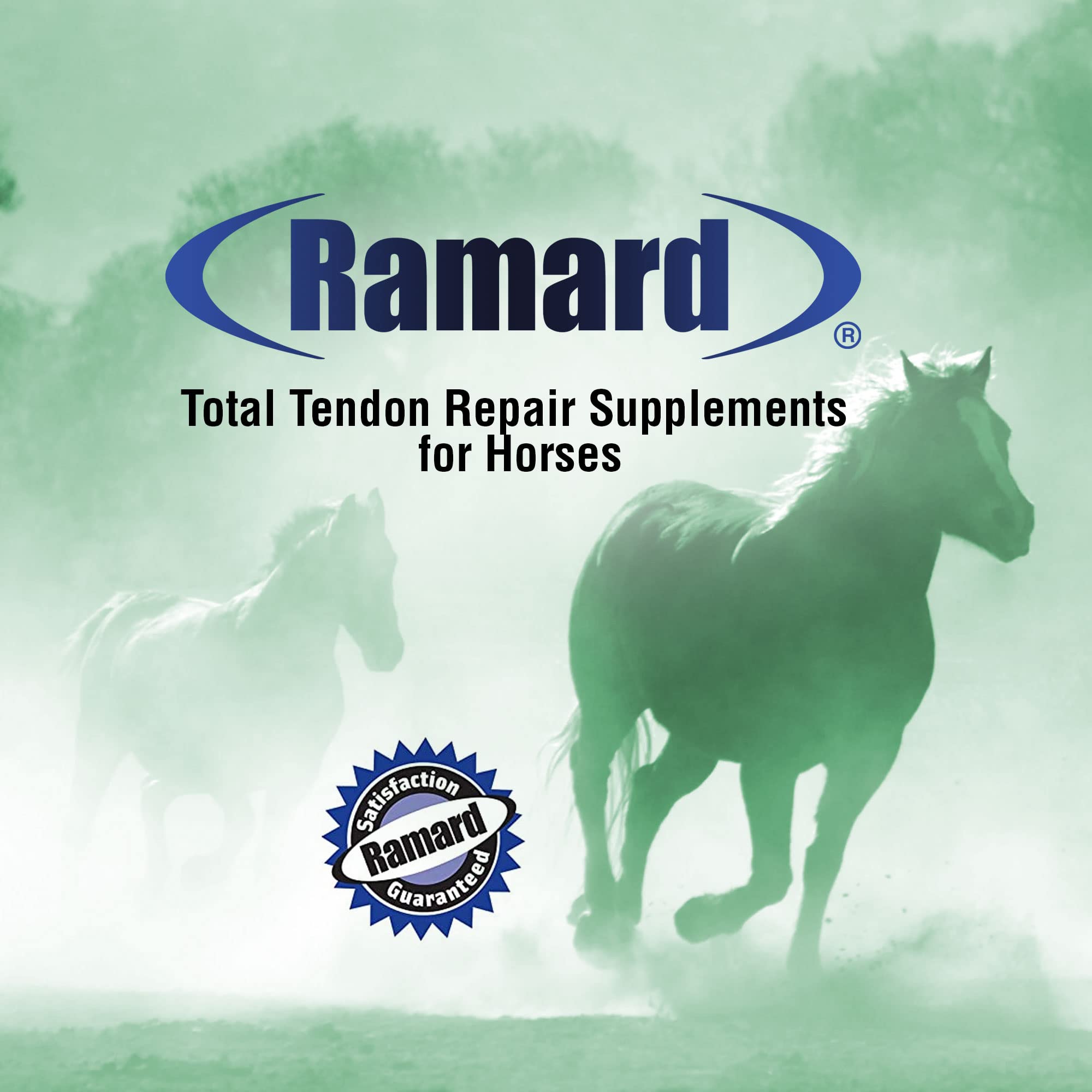 Ramard Total Tendon Repair –Advanced Powder Supplement with Vitamin C, Collagen, and MSM for Horse Joint, Ligament, and Tendon Support - Supplements for Elasticity and Strength – 90 Day Supply